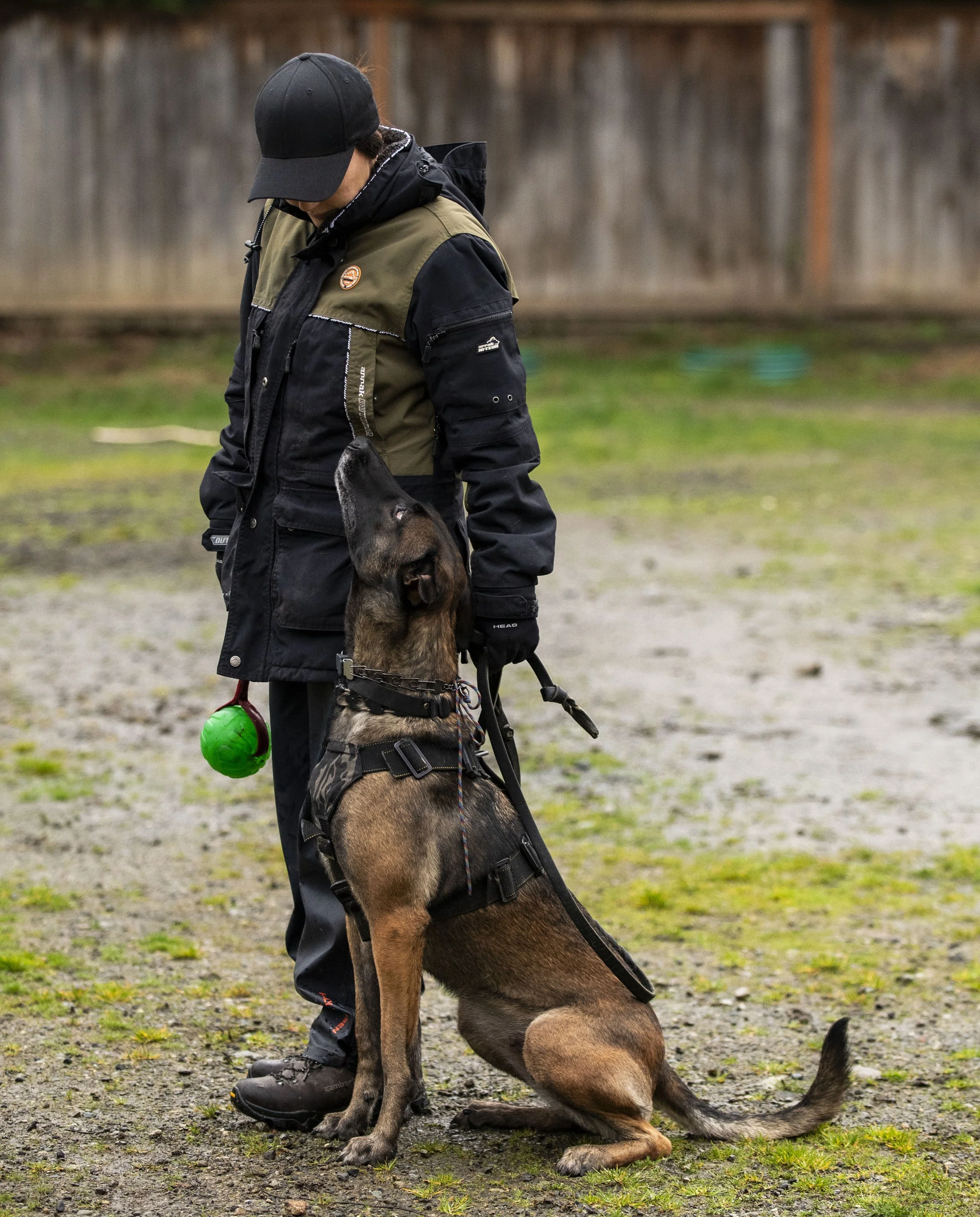 Southpaw K9 Seminar-423.jpg