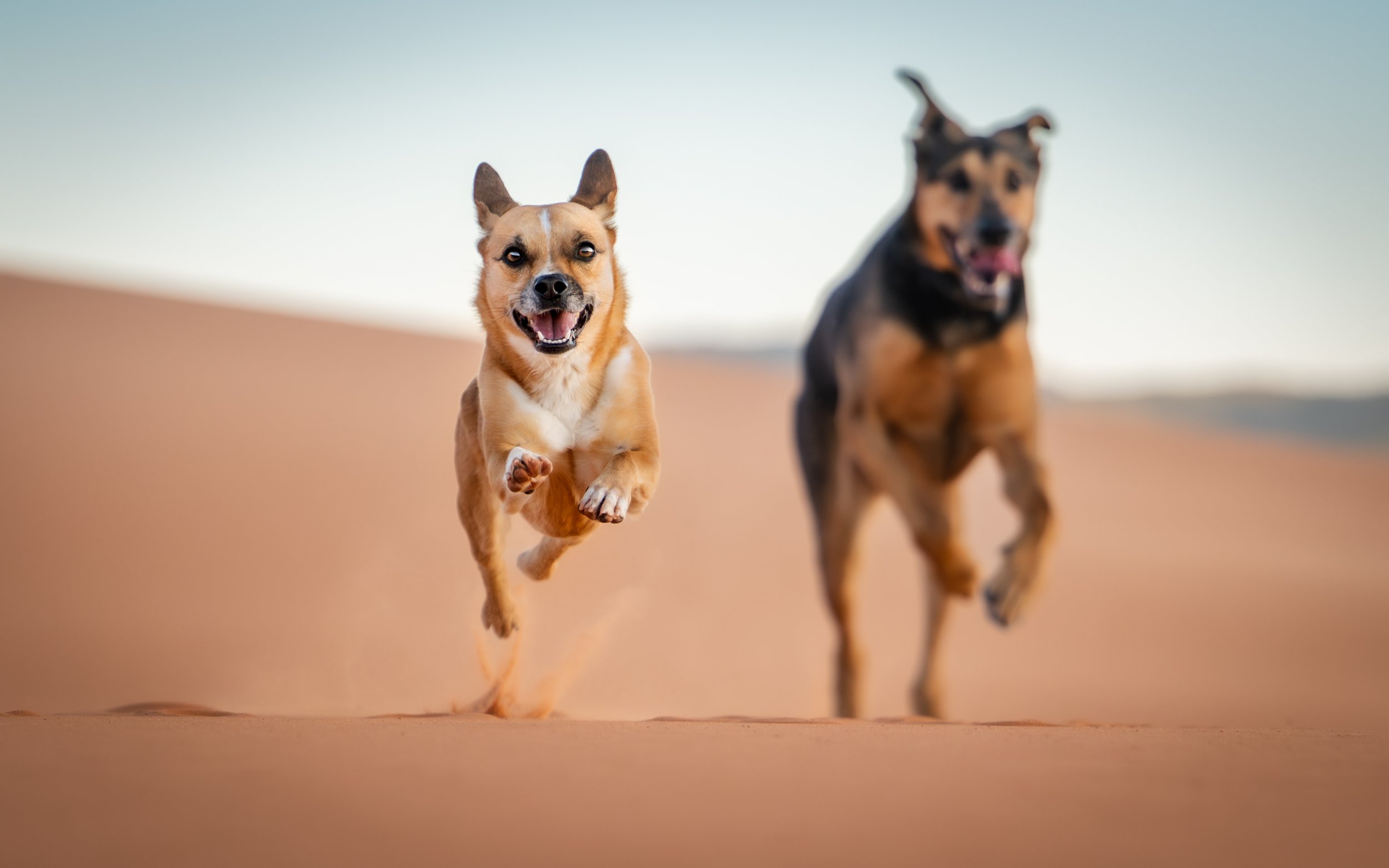 sand dunes.jpg