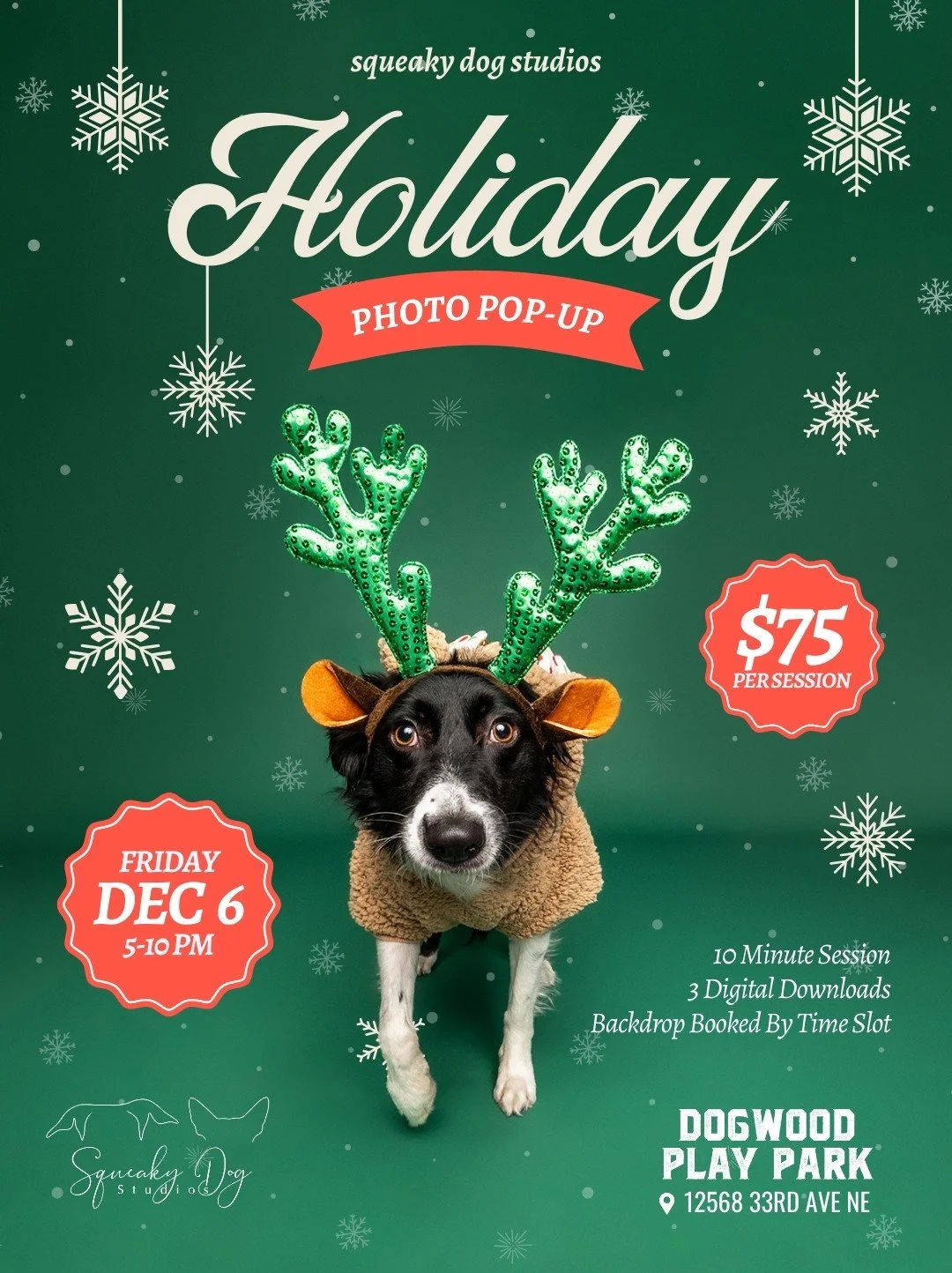 Dogwood - Holiday 2024 [Website].jpg
