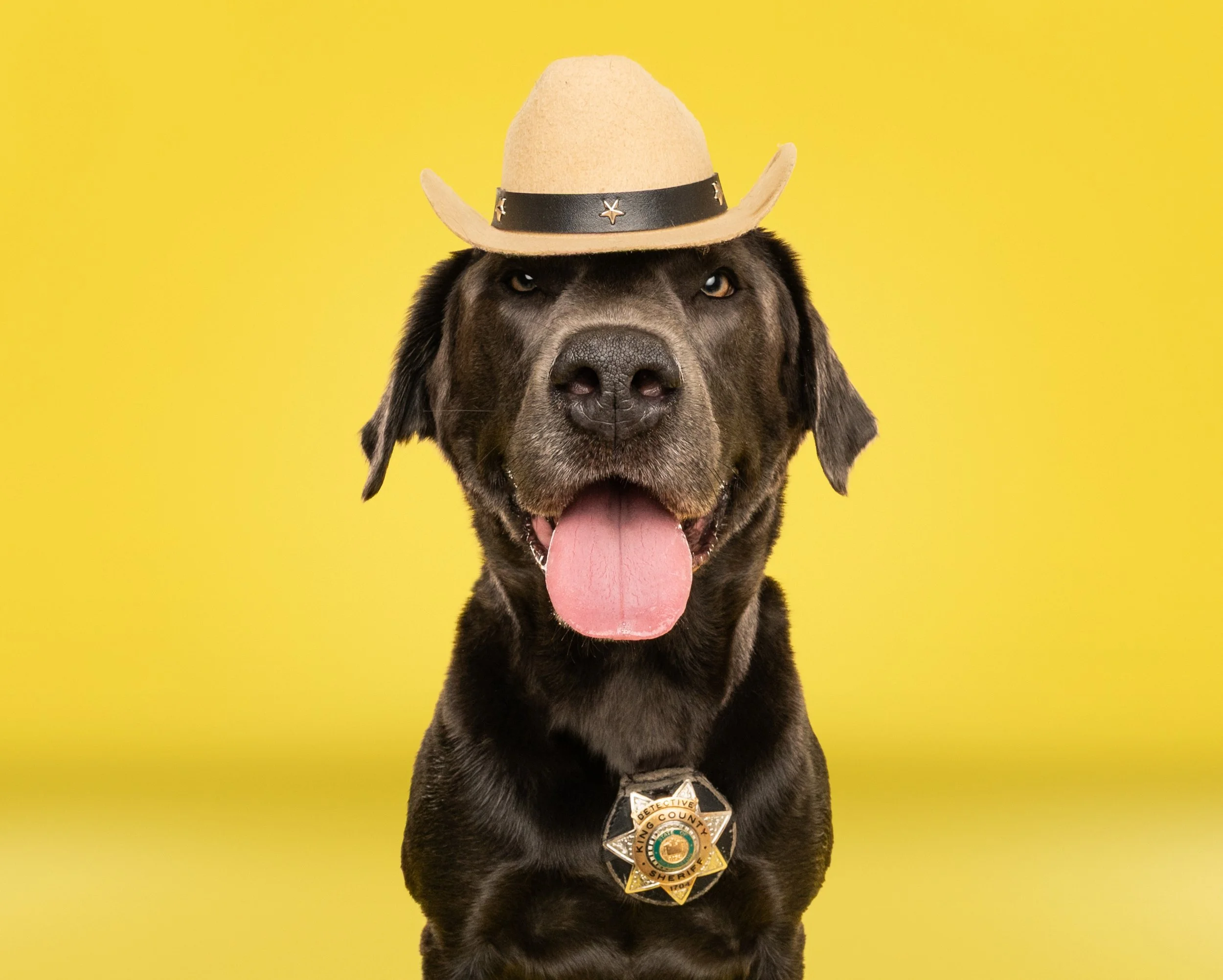 Bachelor and Bravo-17.jpg