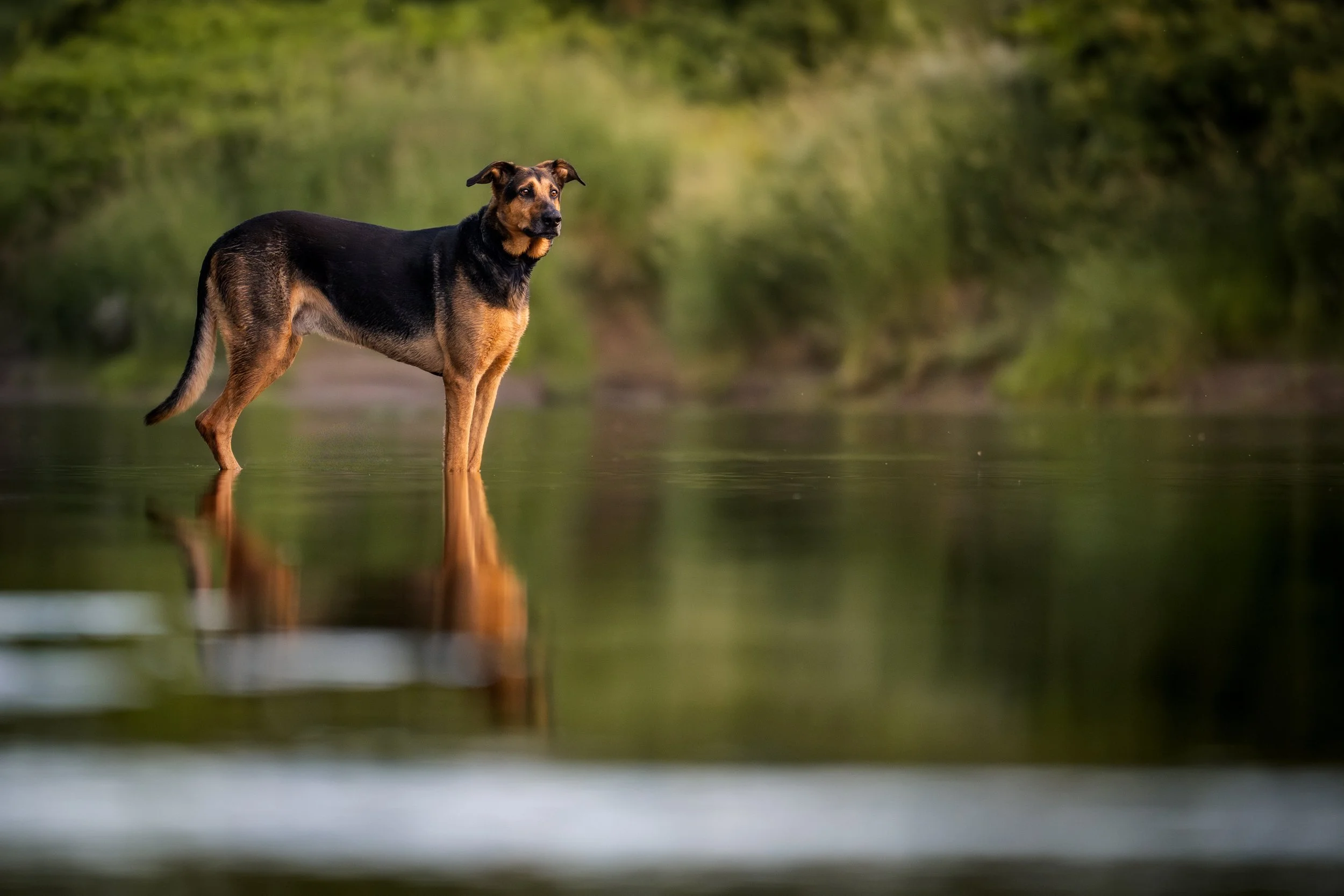 Monty-3.jpg