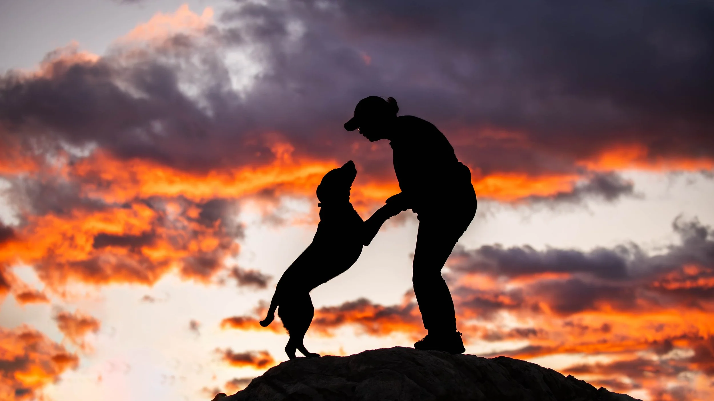 Nora, Weller, Harper and Elle-51.jpg