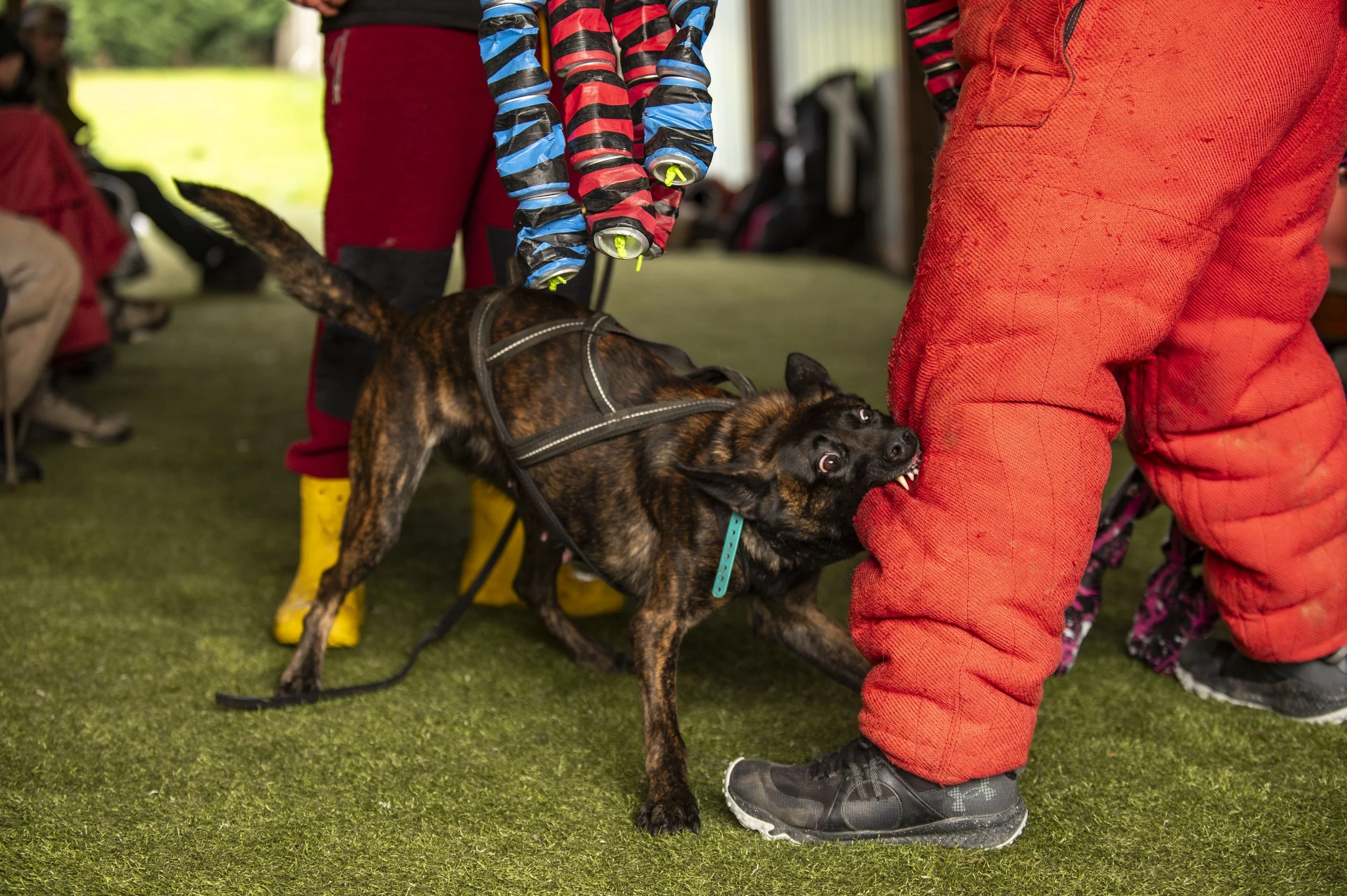 Southpaw K9 Seminar-384.jpg
