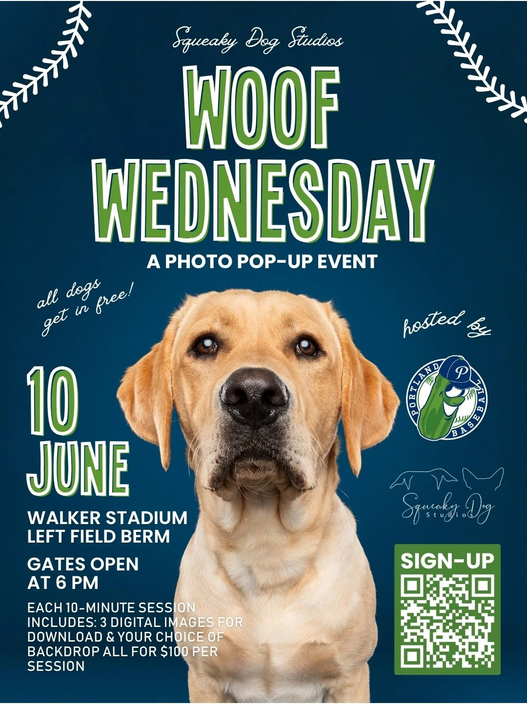 portland pickles, portland baseball, portland dog photographer