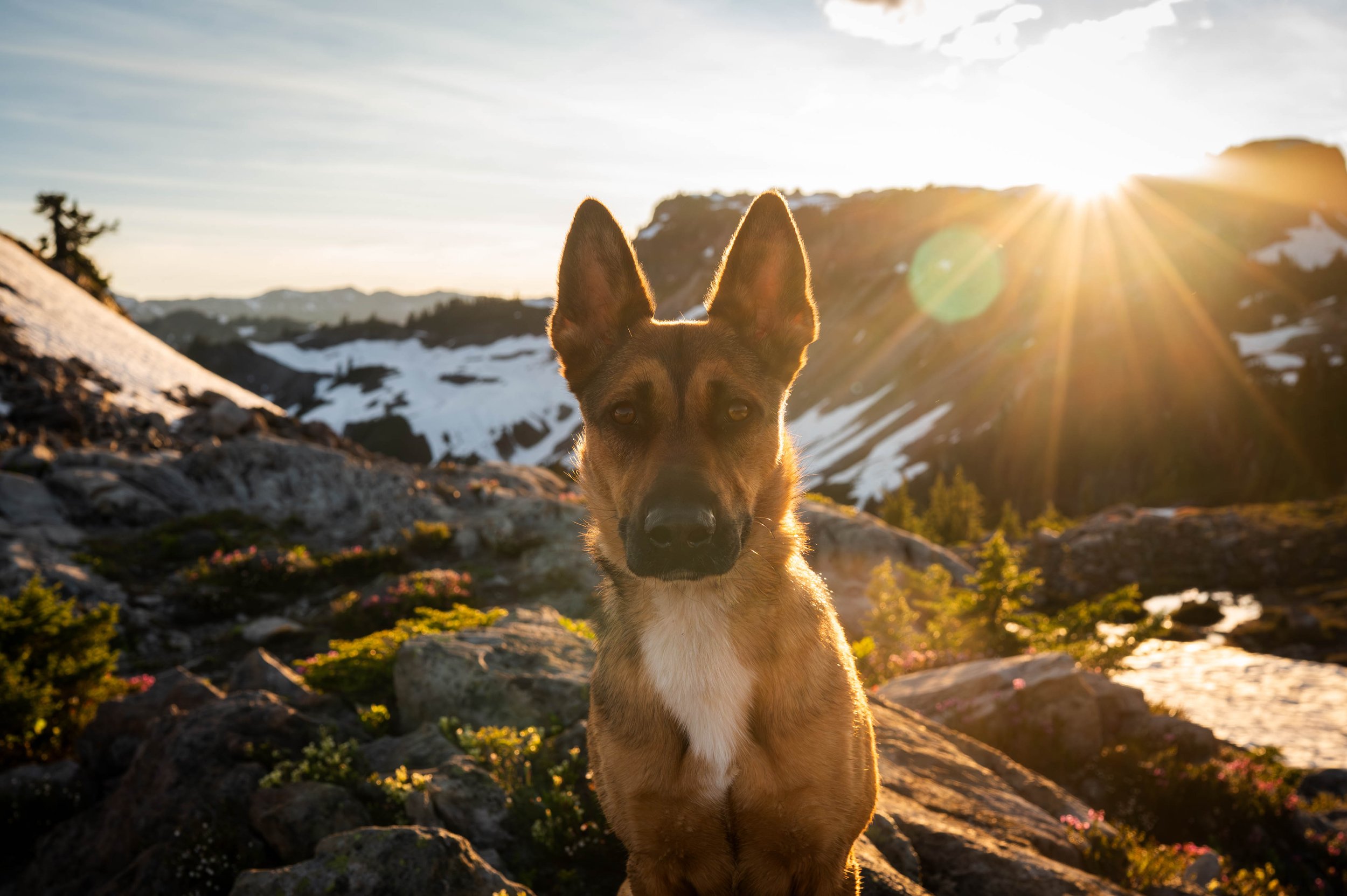 Nora, Weller, Harper and Elle-14.jpg