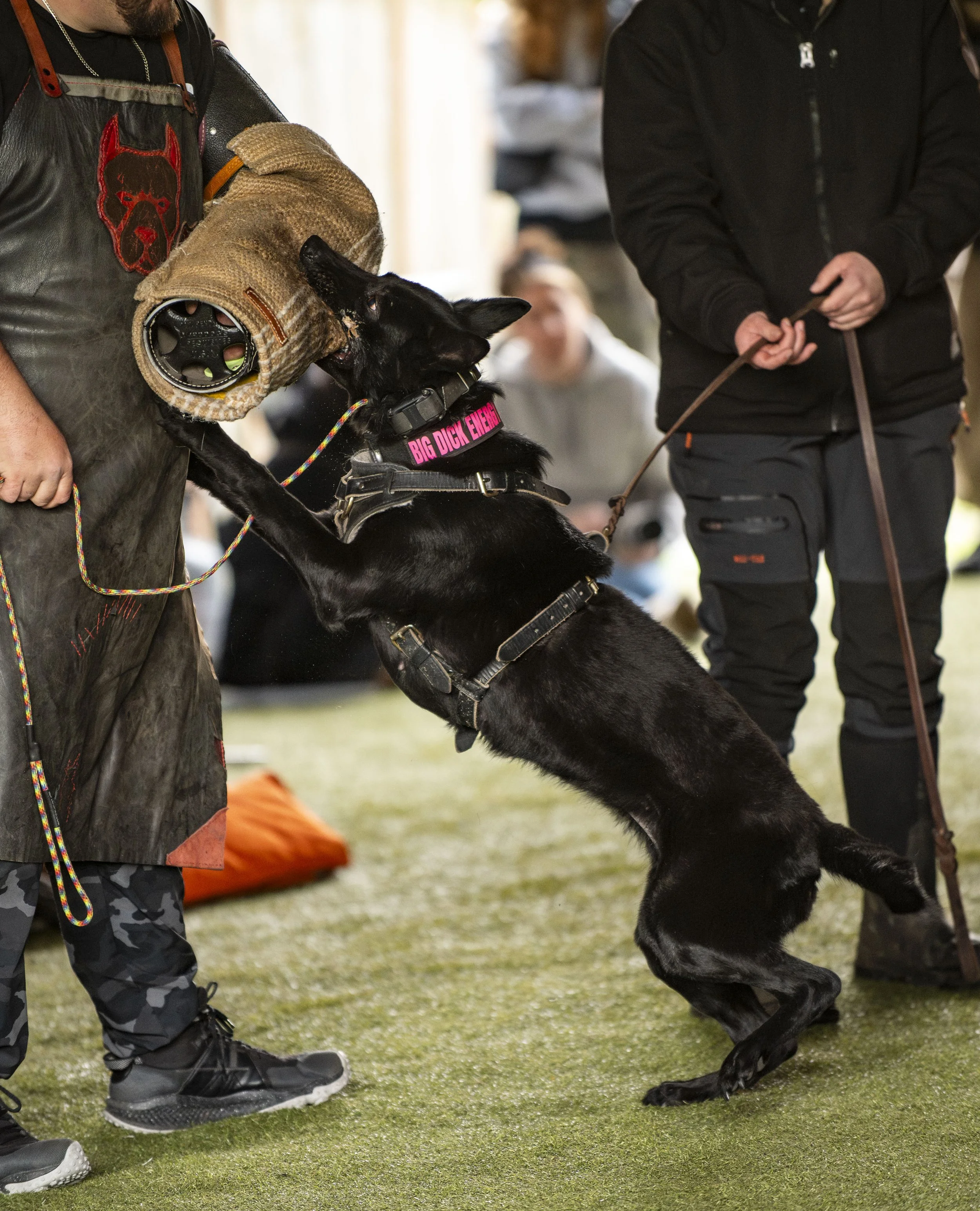 Southpaw K9 Seminar-154.jpg