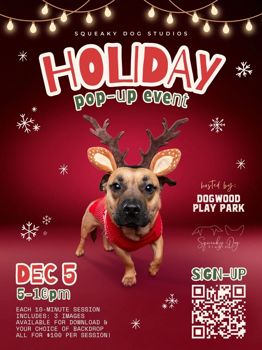 seattle dog photographer, dogwood playpark