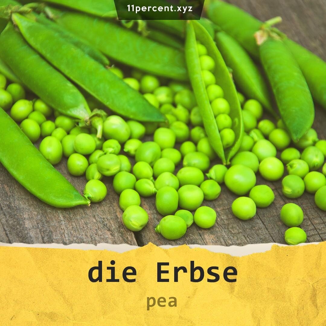 Let's learn some tasty fruit and vegetables 🍎🍌🍉🥦🥕🍅😋🍽⁠ ⁠
⠀⠀⠀⠀⠀⠀⠀⠀⠀⠀⠀⠀⠀⠀⠀⠀⁣⁠
🔶 die Erbse [dee ERB-zeh] ▹ pea⁠
⠀⠀⠀⠀⠀⠀⠀⠀⠀⁣⁠
🔶 die Erbsen - Plural⁠
⠀⠀⠀⠀⠀⠀⠀⠀⠀⁣⁠
🔶 Learn German the easy and fun way!⁣⁠
Get my full beginner course for just 13.99$ ▹