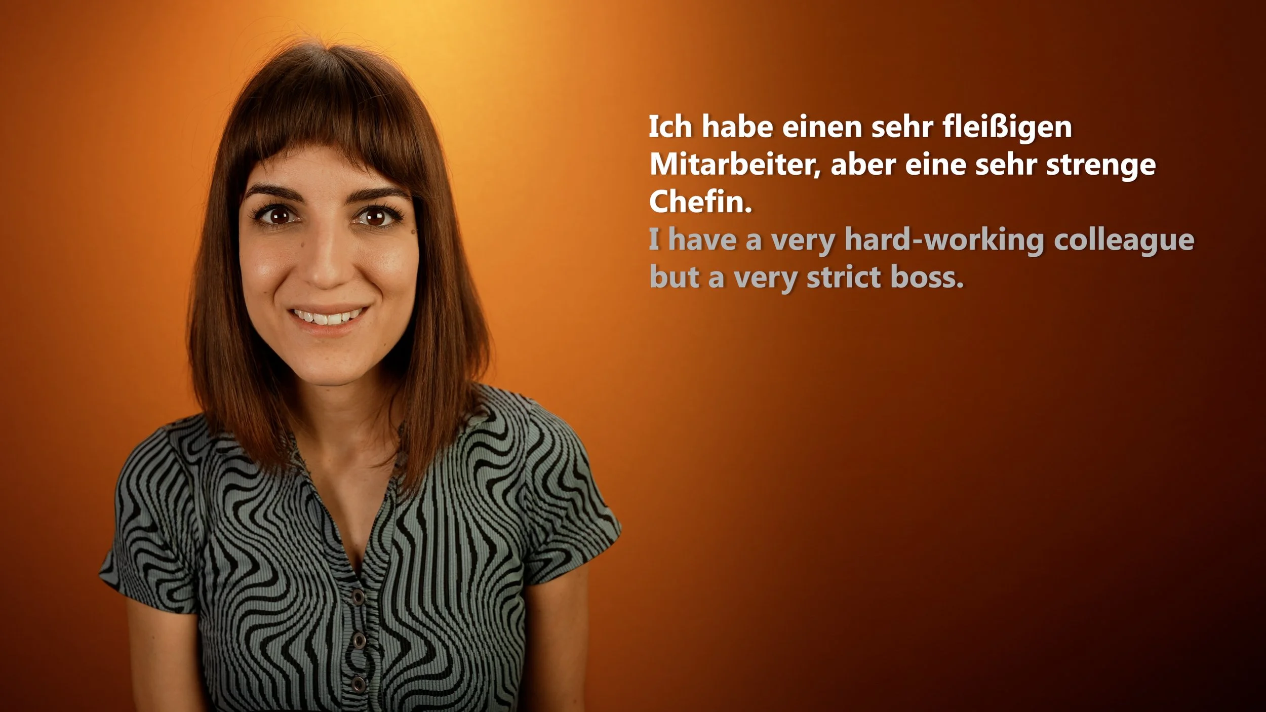 ✓ B1.1 - 4.12 Adjektivdeklination wiederholen.00_00_03_02.Still004.jpg