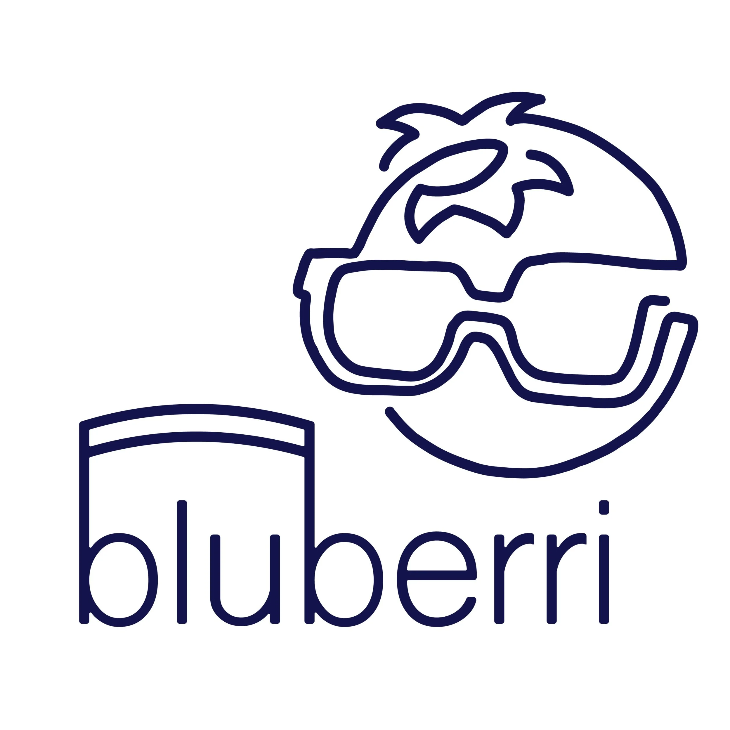 Blueberri+Logo-01.jpg