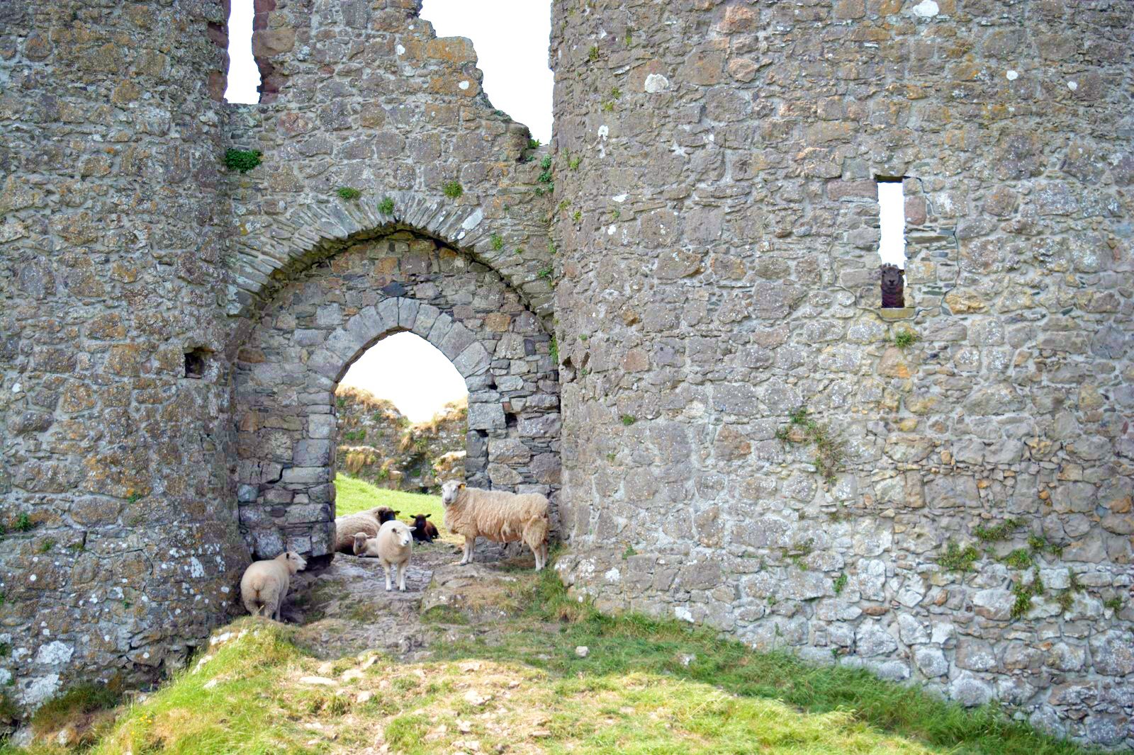 Roache Castle Peek a Boo