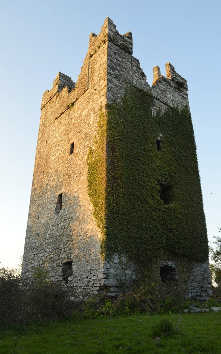 Dunmahon Castle Ivy