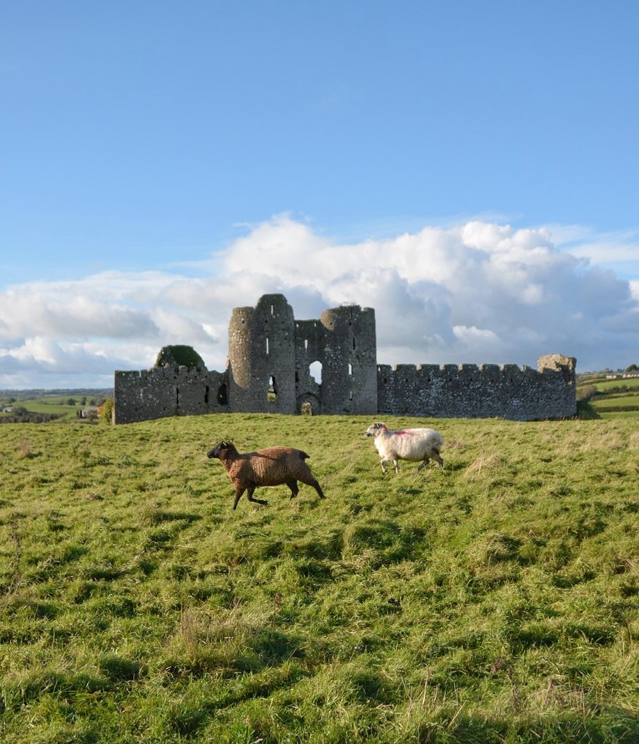 Roache Castle Run