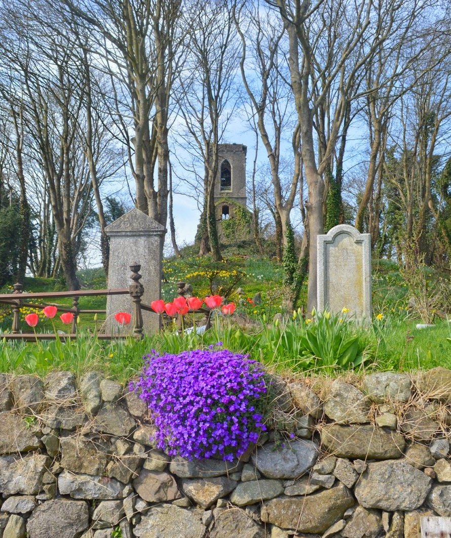 Tinley's Church Purple