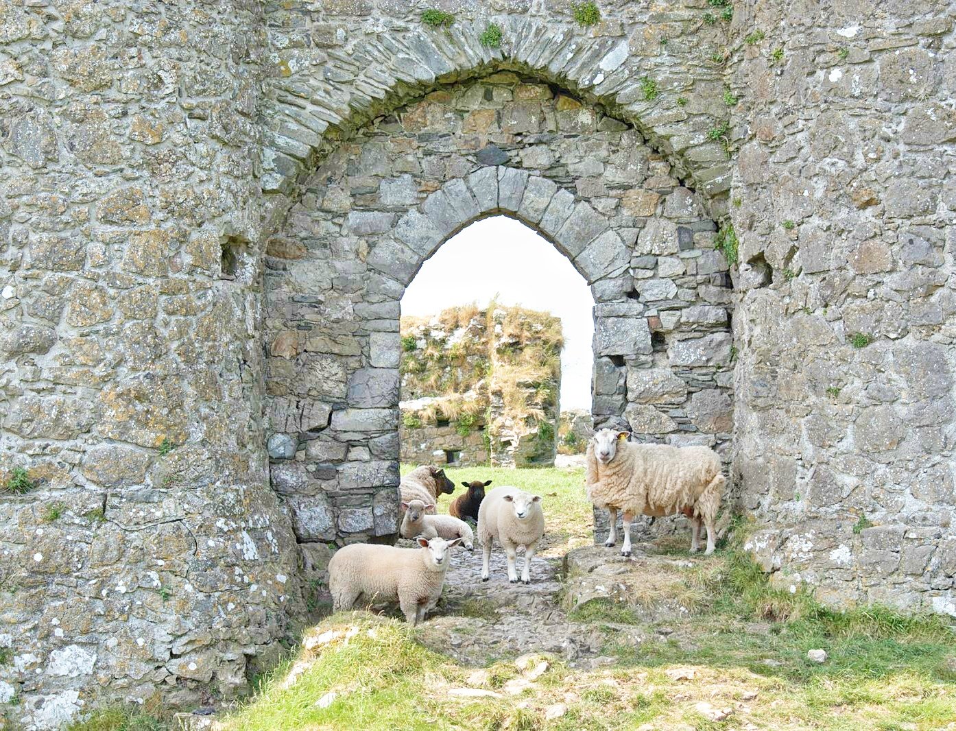 Roache Castle Door 1