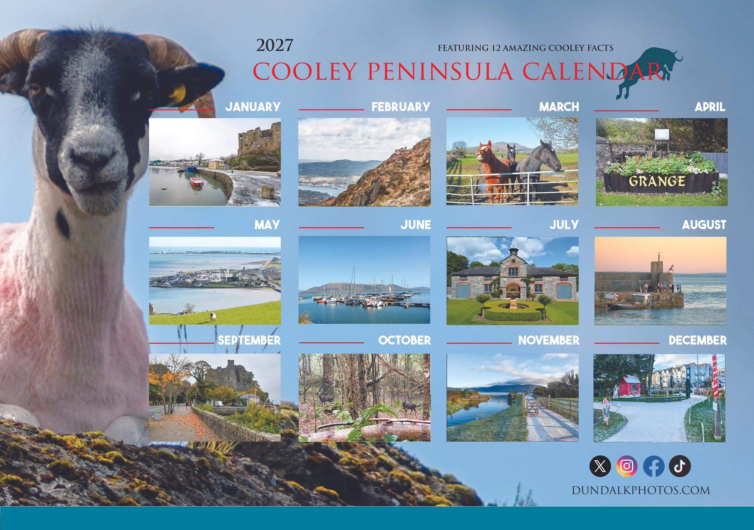 cooley Back cover1.jpg
