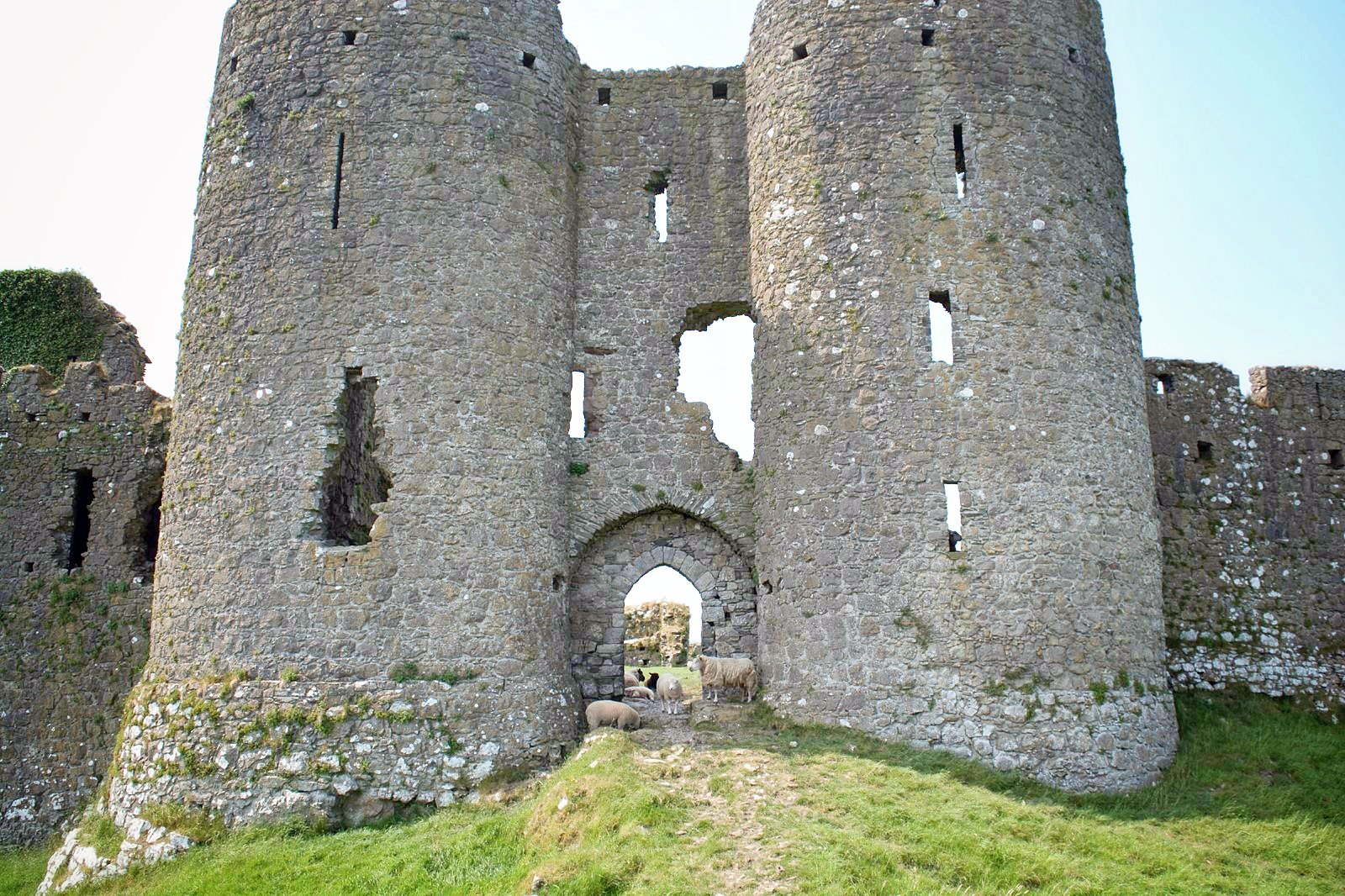 Roache Castle Sheep Door 2