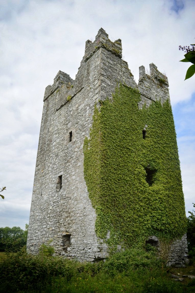 Dunmahon Castle Ivy 2
