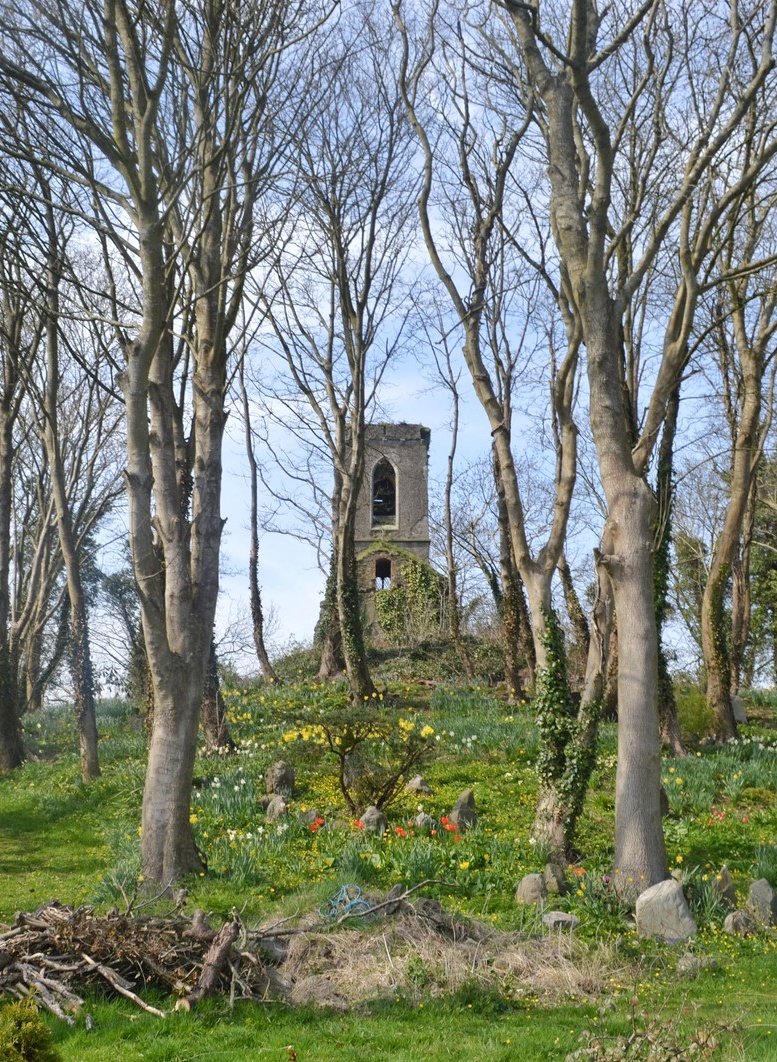 Tinley's Church Trees