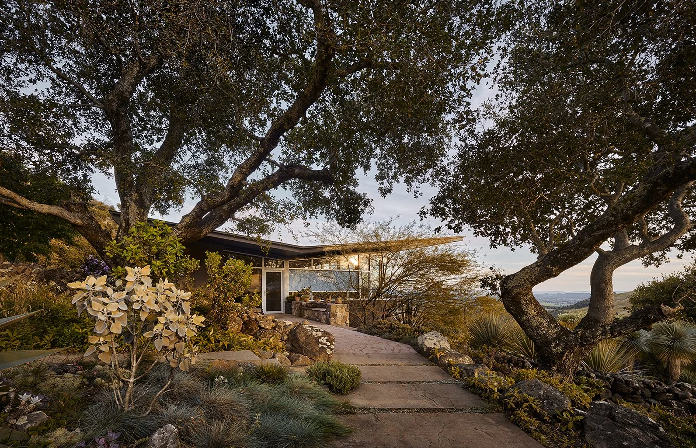 1. TGH-Napa_Hillside-1356.jpg