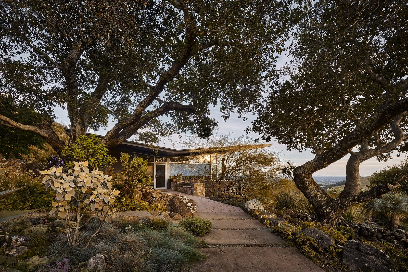 1. TGH-Napa_Hillside-1356.jpg