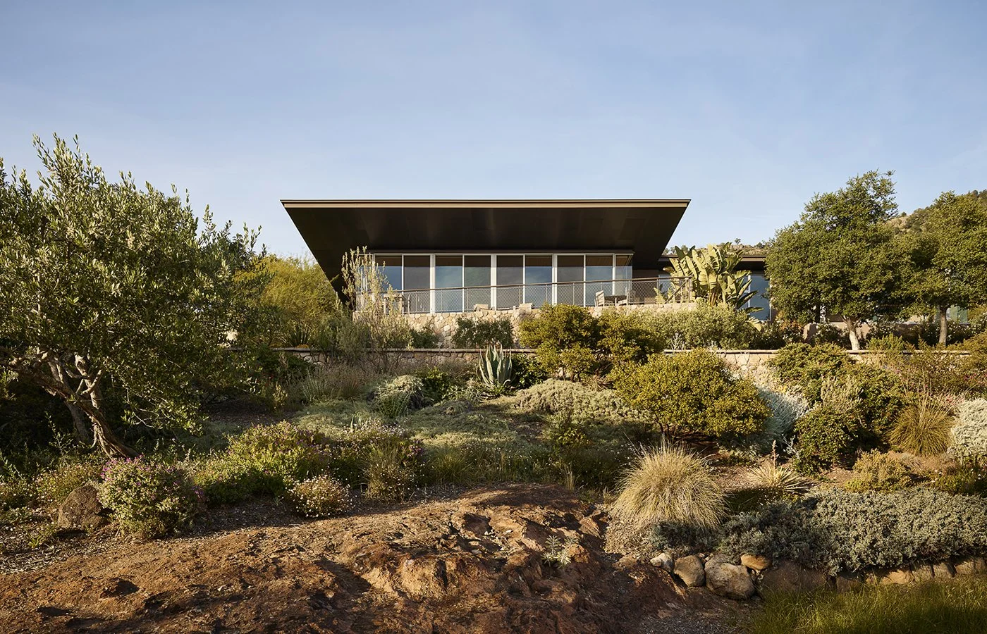 2. TGH-Napa_Hillside-1242.jpg