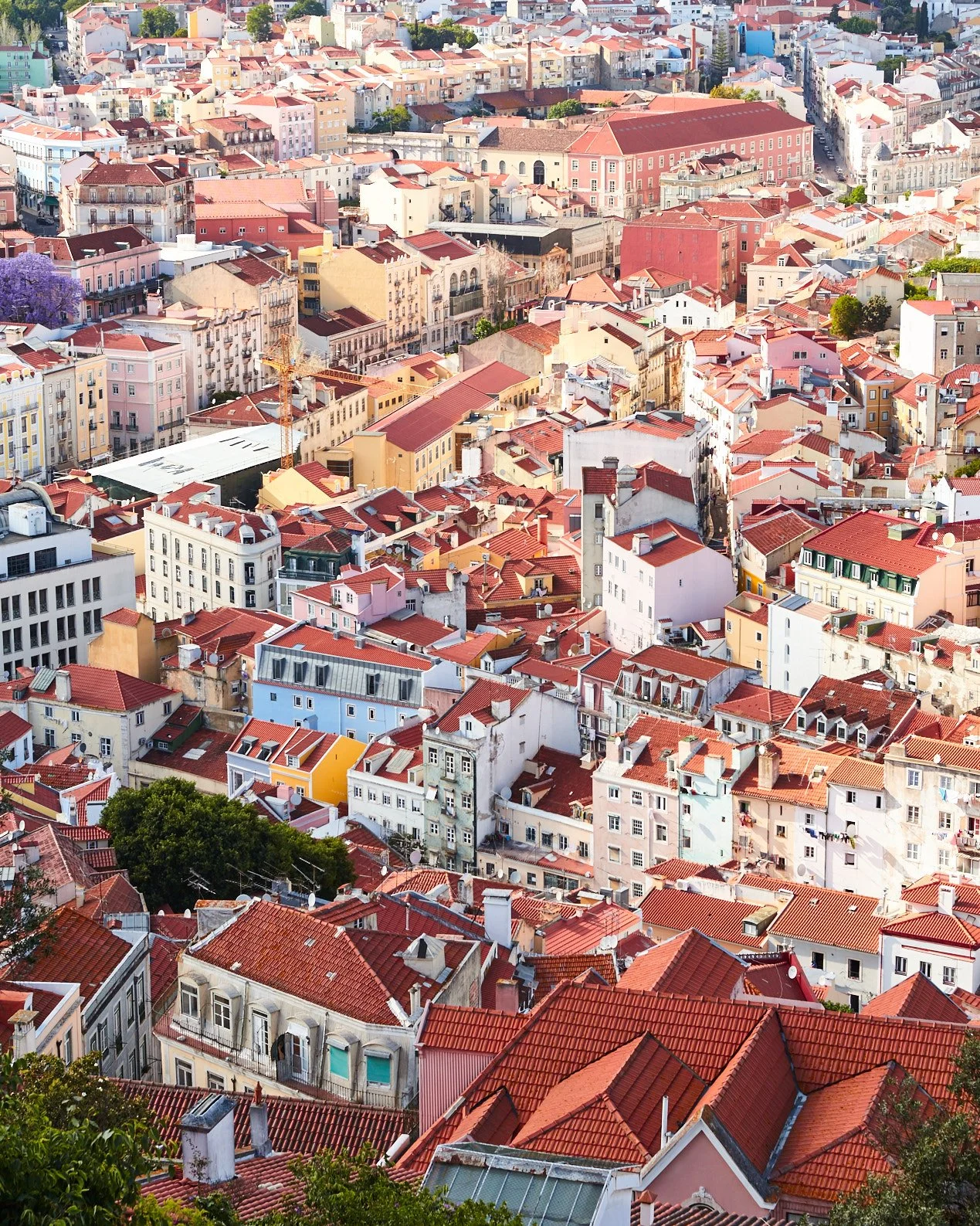 2019-05_PORTUGAL_1101 1.jpg