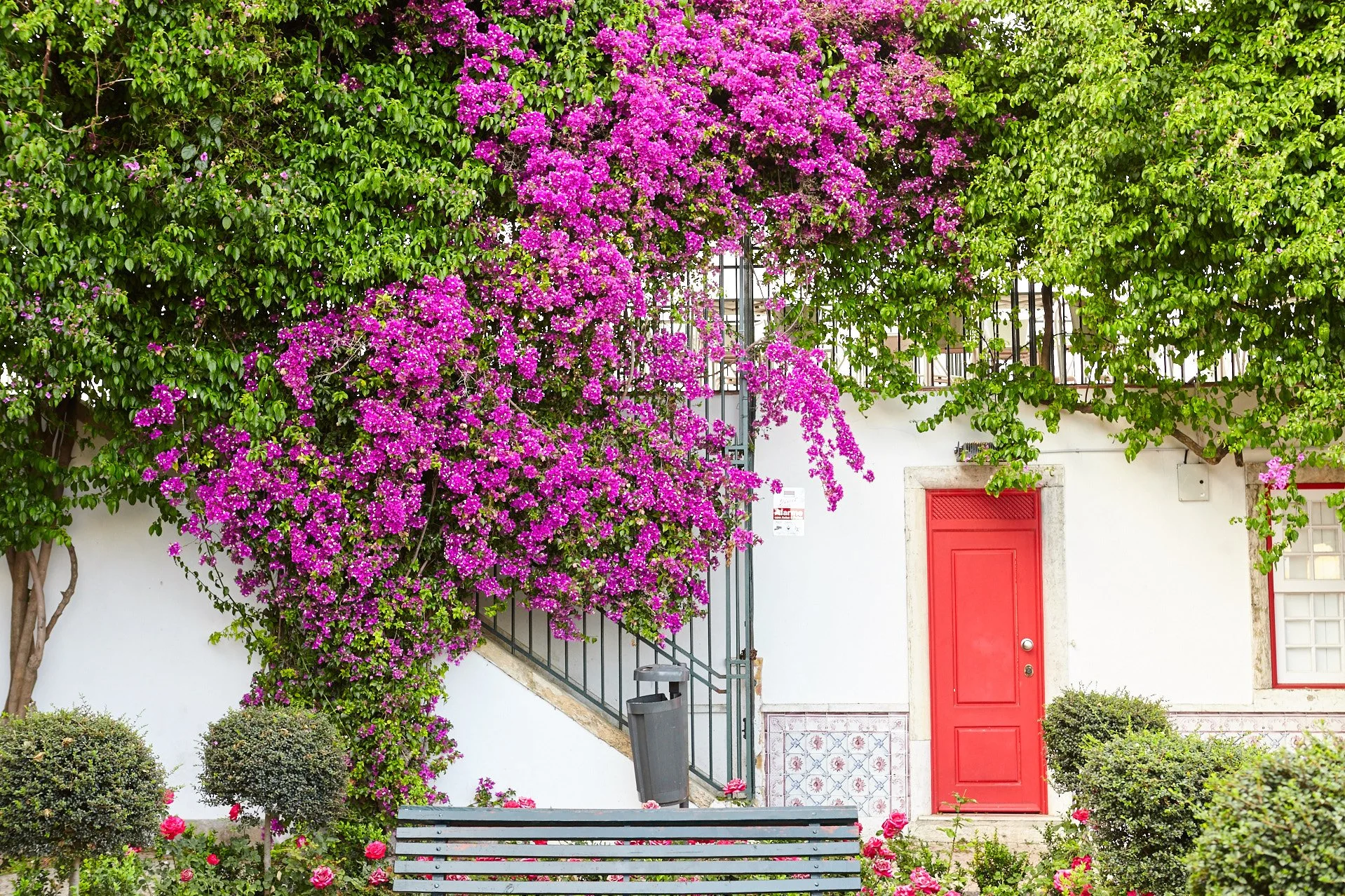 2019-05_PORTUGAL_084 1.jpg