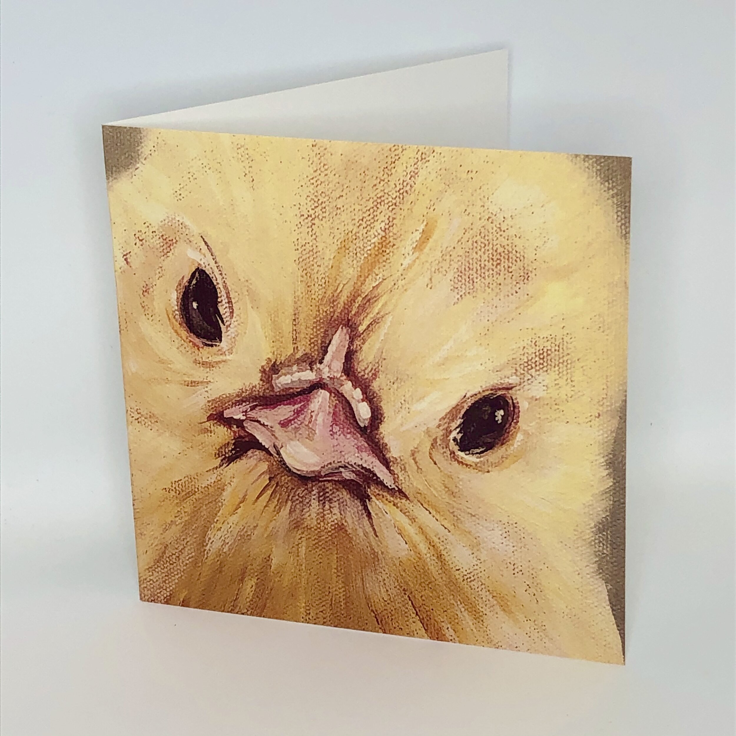 chick.jpeg