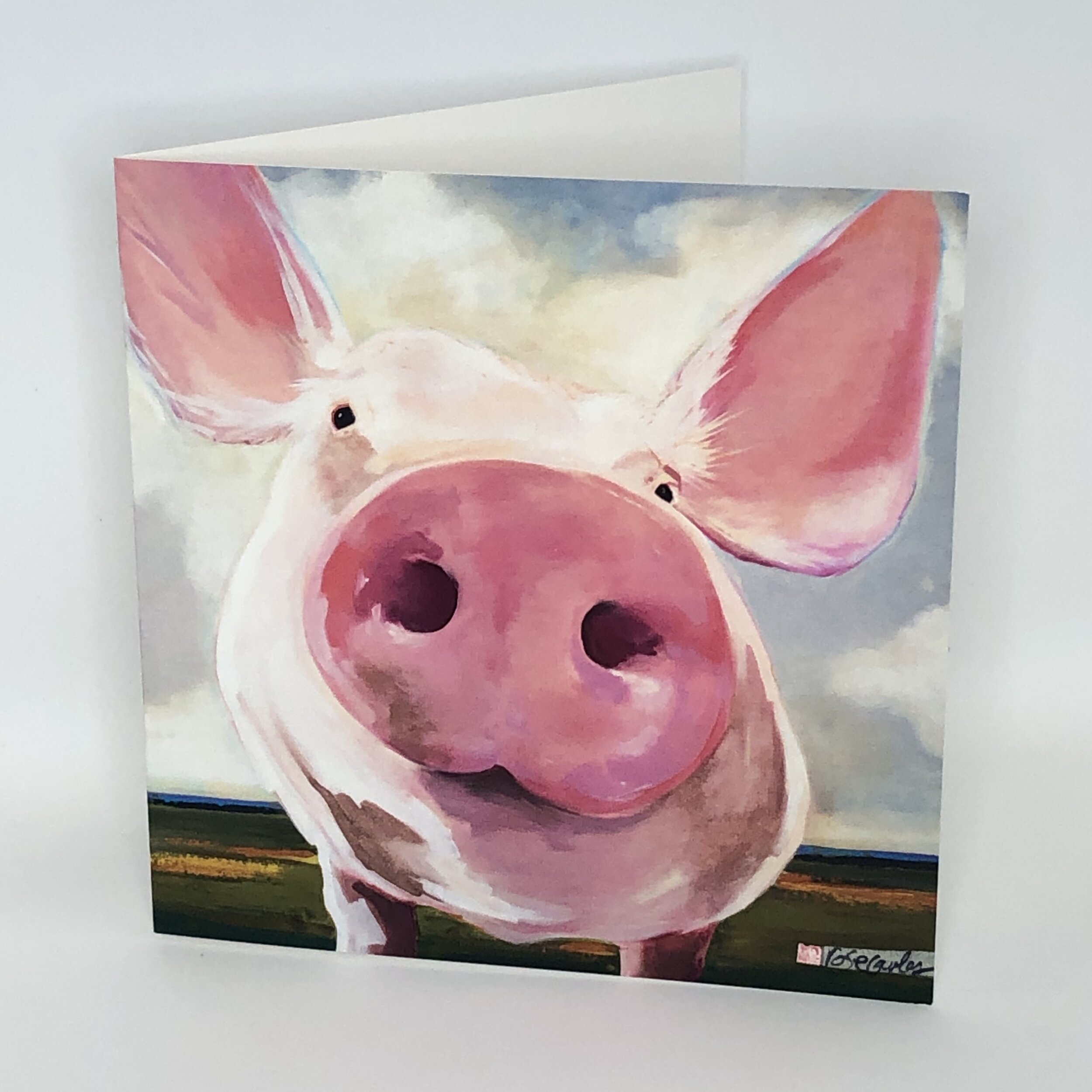 some pig.jpeg