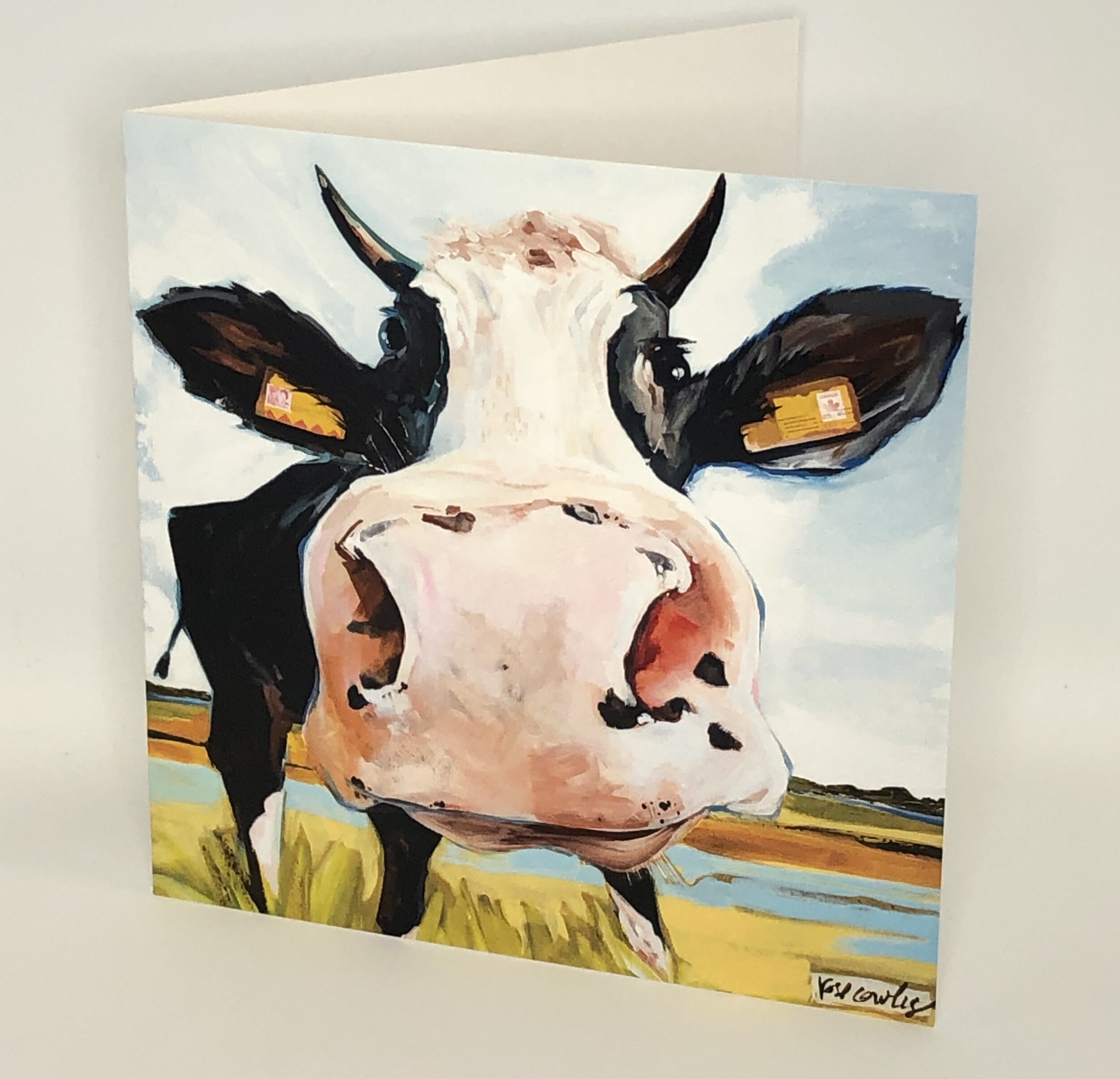 interupting cow.jpeg