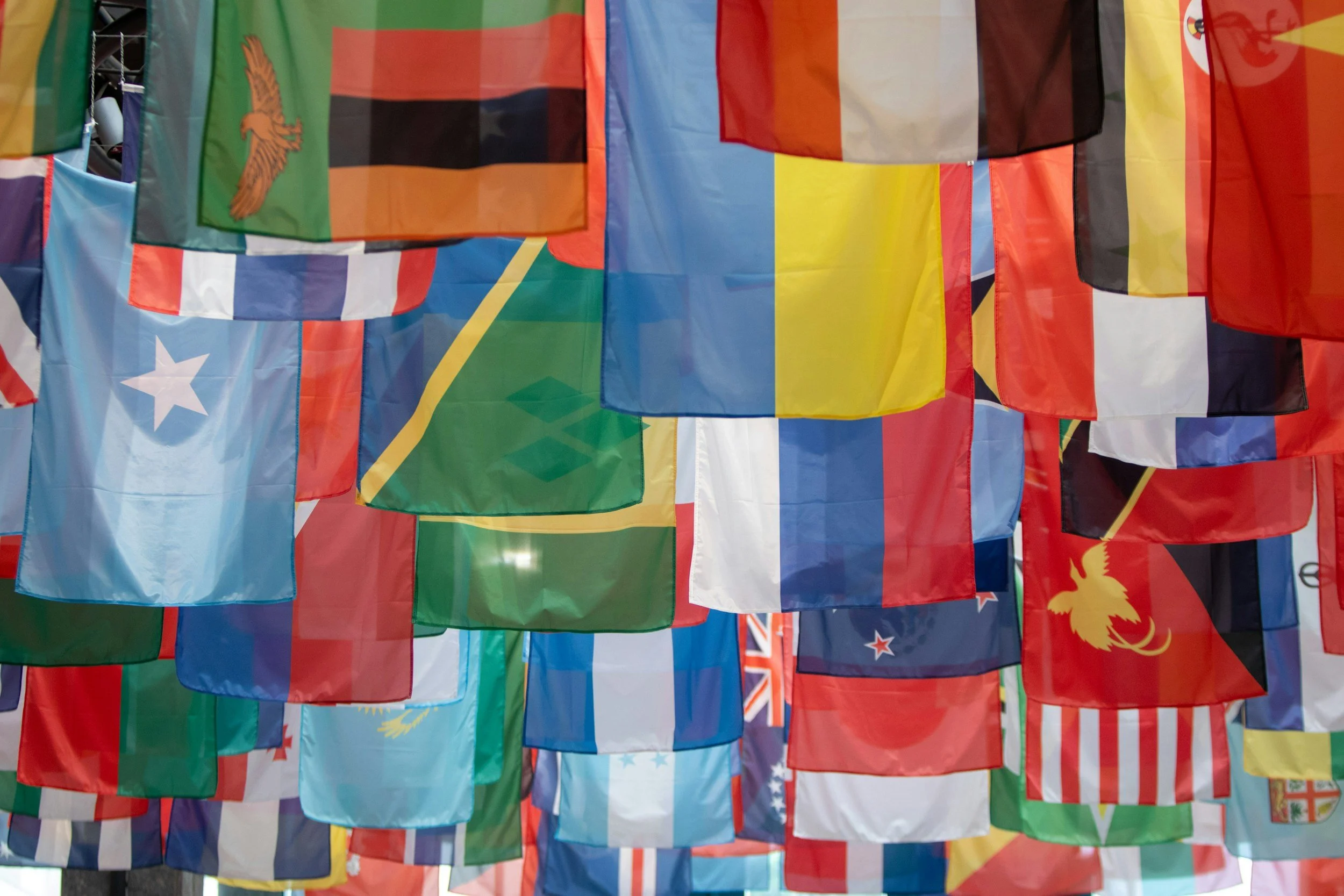 Multicultural Night