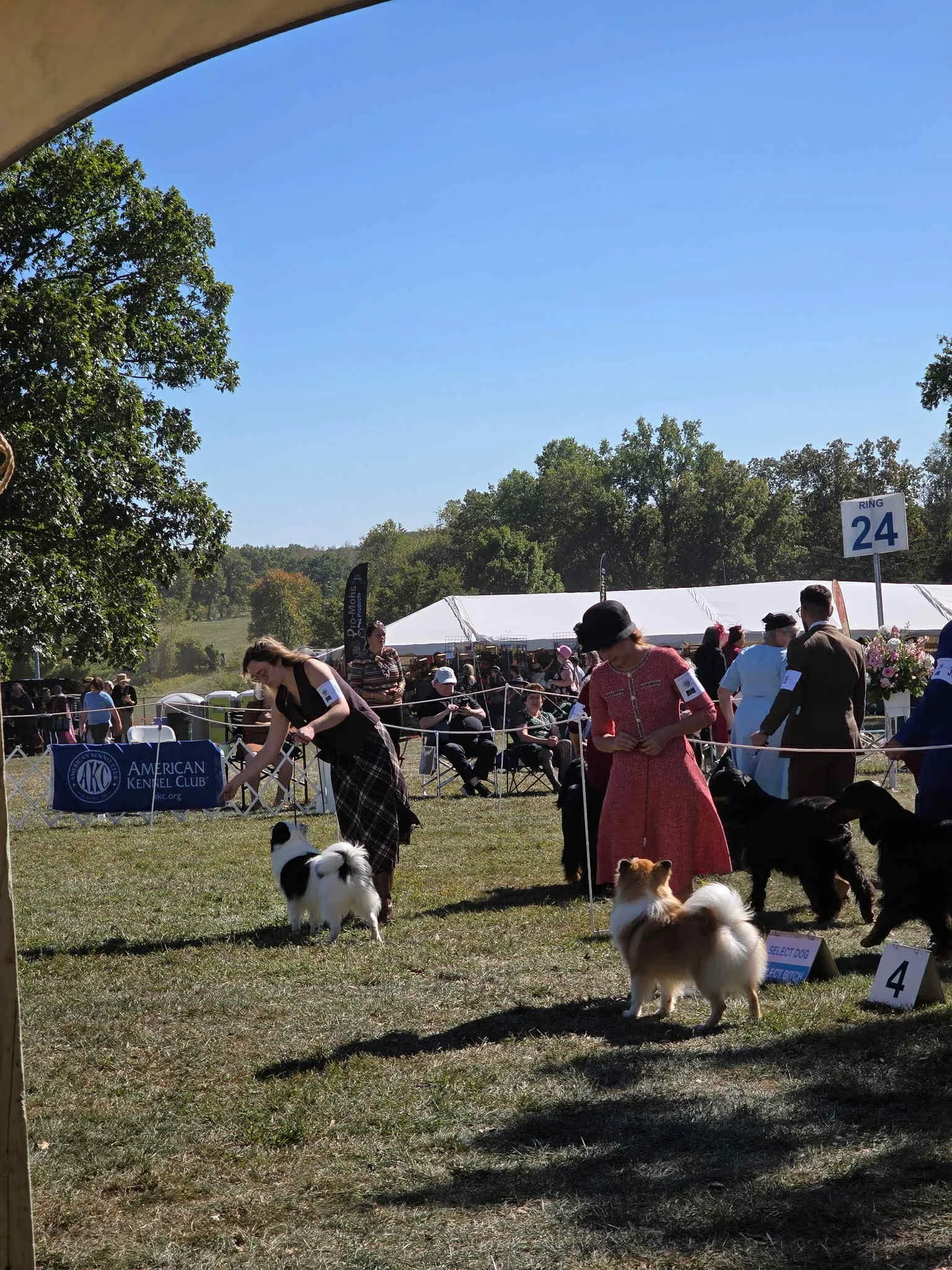 817f3fc3-e41a-431c-acb3-61db48200af0.jfif