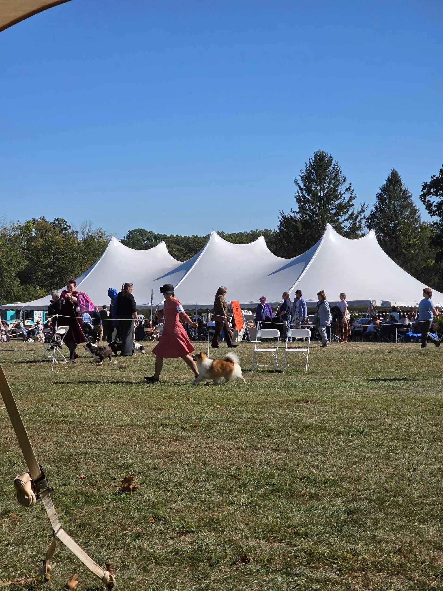 a08e6c0a-fe46-4ff0-aa95-52f403555e9f.jfif