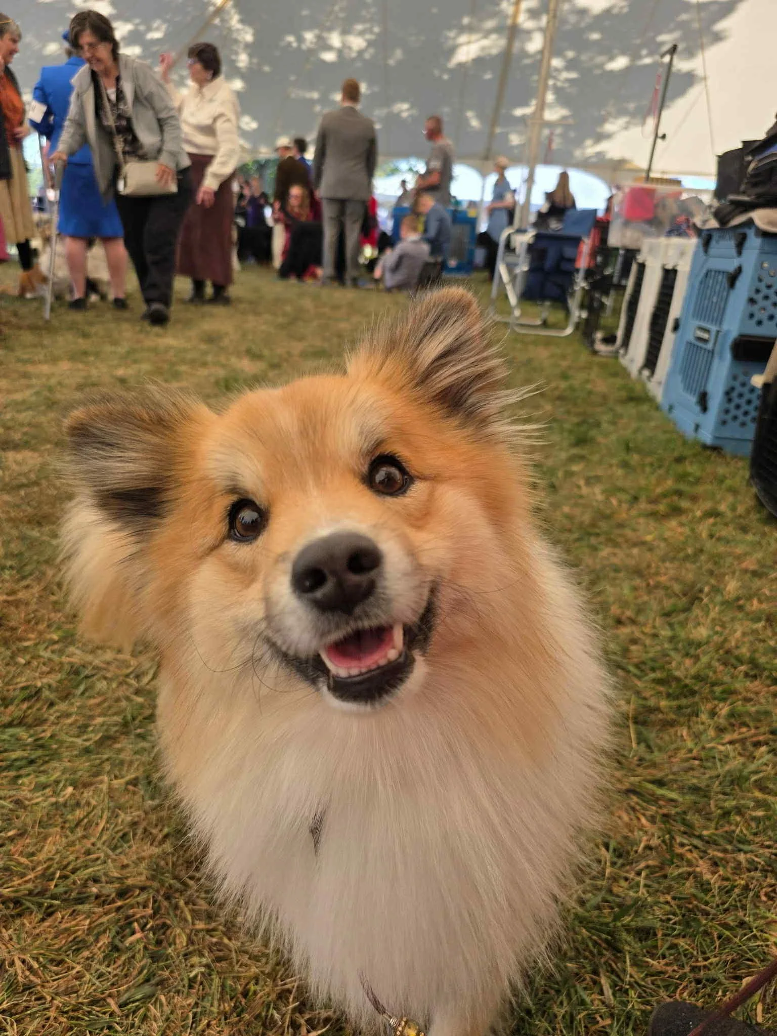 f7405b2a-c7a7-42d0-9c92-1c68df6bfa28.jfif