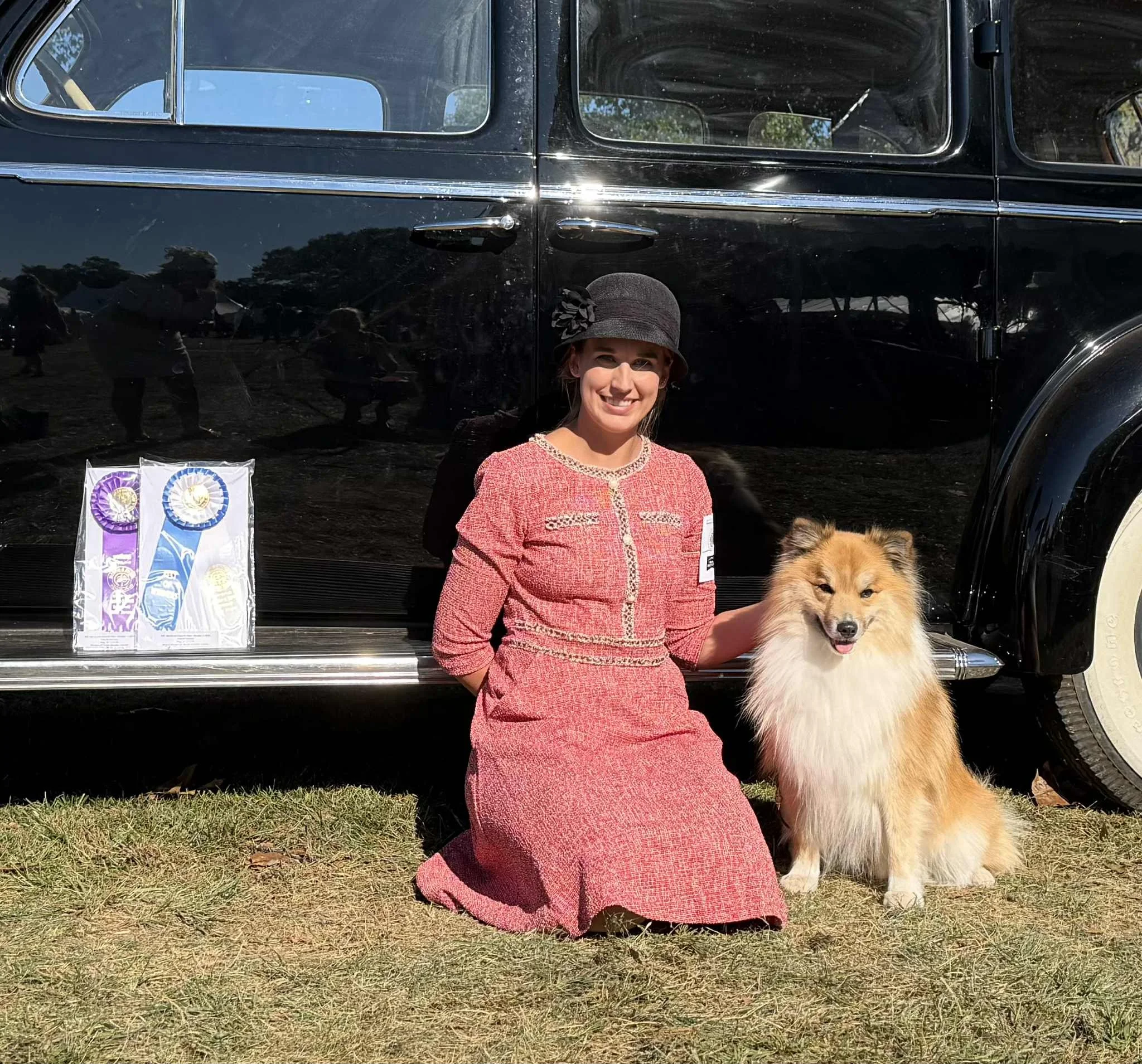 2ec566ca-2ee9-4305-a6d2-546b2a3fba3f.jfif