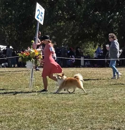 c273f702-bc61-44dd-b0ca-23cfc5c1b2c9.jfif