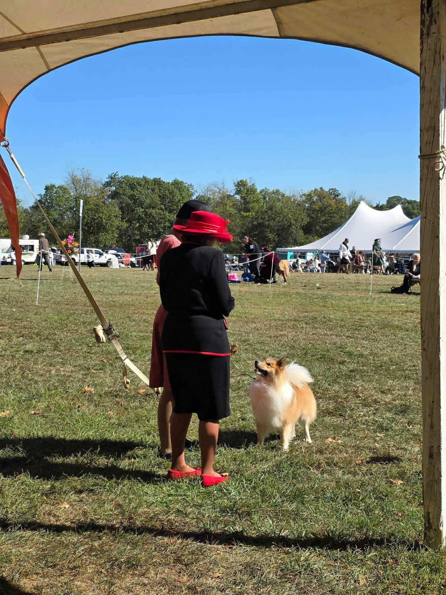 97925314-979c-41f8-8887-817bdc5229f8.jfif