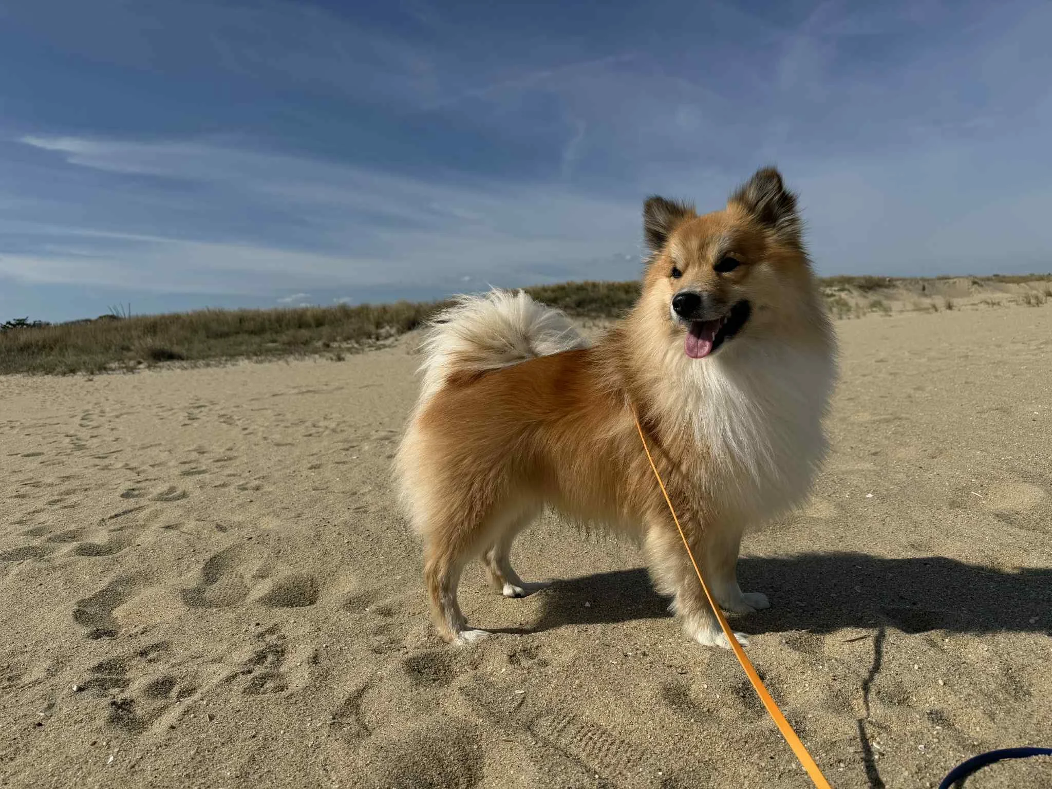 2290150a-21e6-4aca-887e-eb3230e489d0.jfif