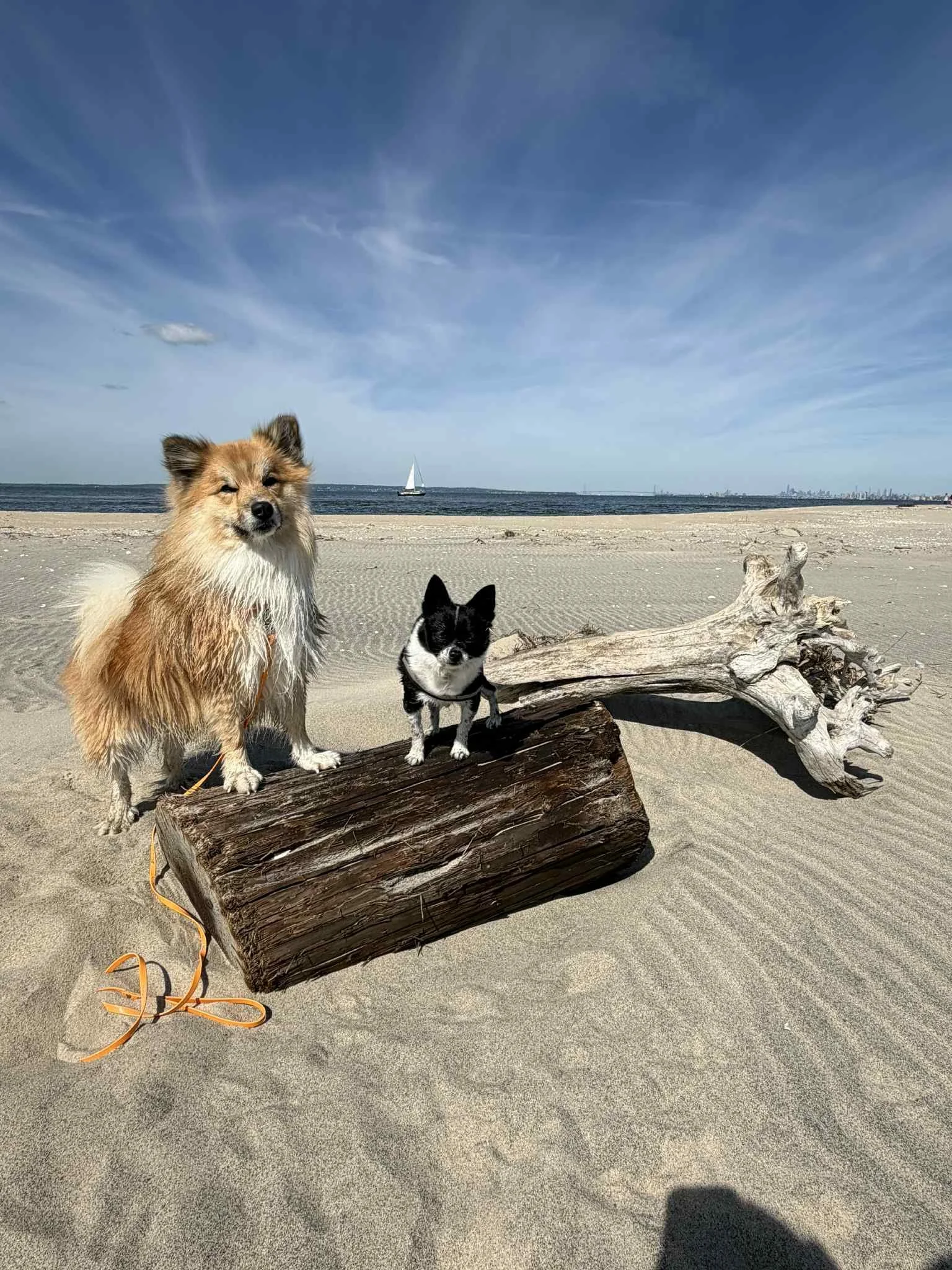 3ba1150b-7283-4b9e-b46f-179d57daa498.jfif