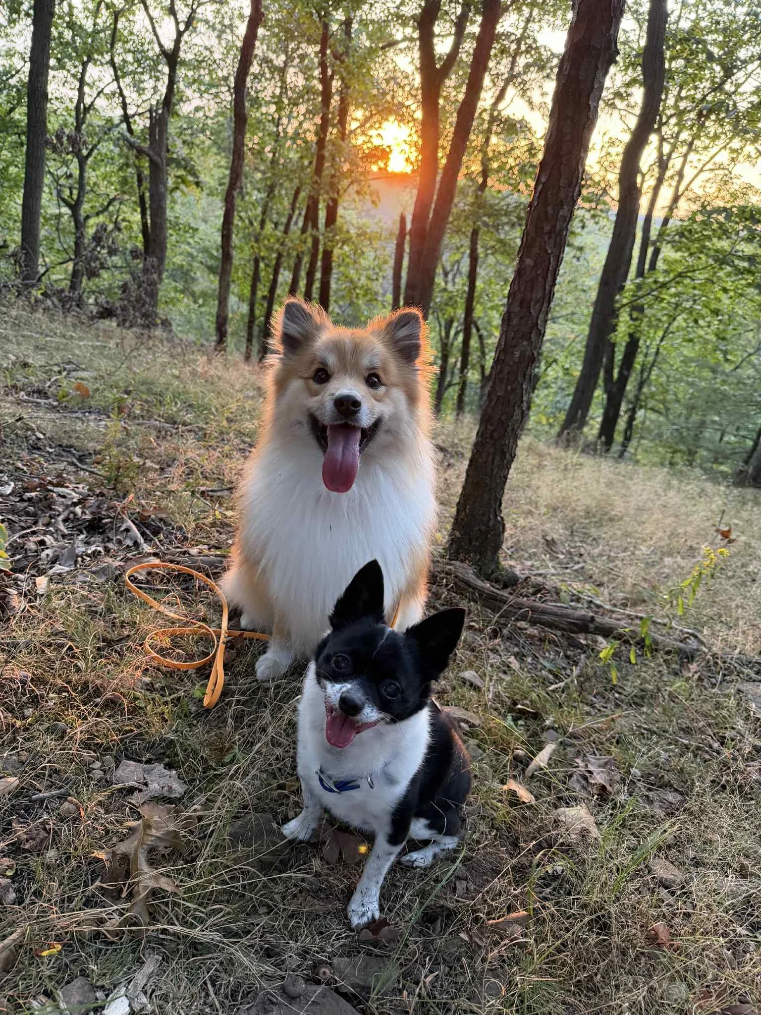 e29e1182-a04c-4f9f-a43c-11f04eb5fc1e.jfif