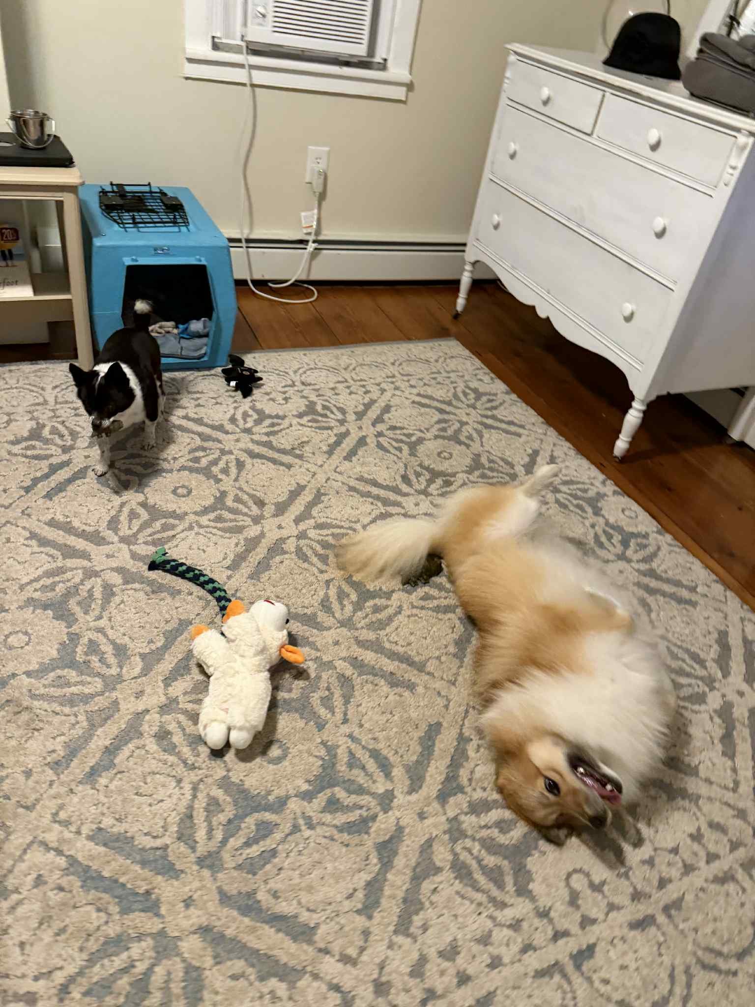 a93268a4-a760-45c1-a194-9af559641553.jfif