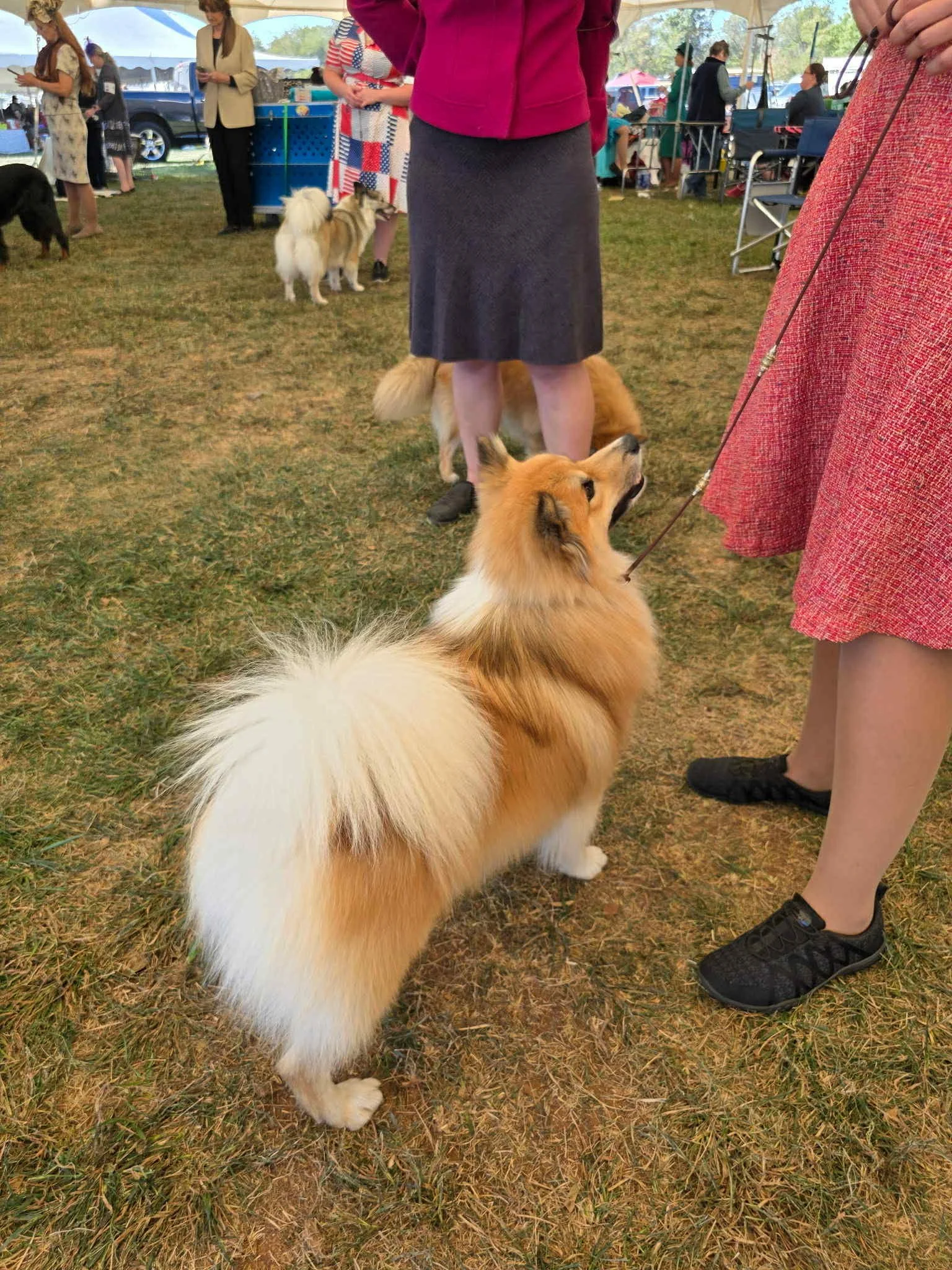 f6193c7d-6477-4197-b95a-63f1a379cfa8.jfif