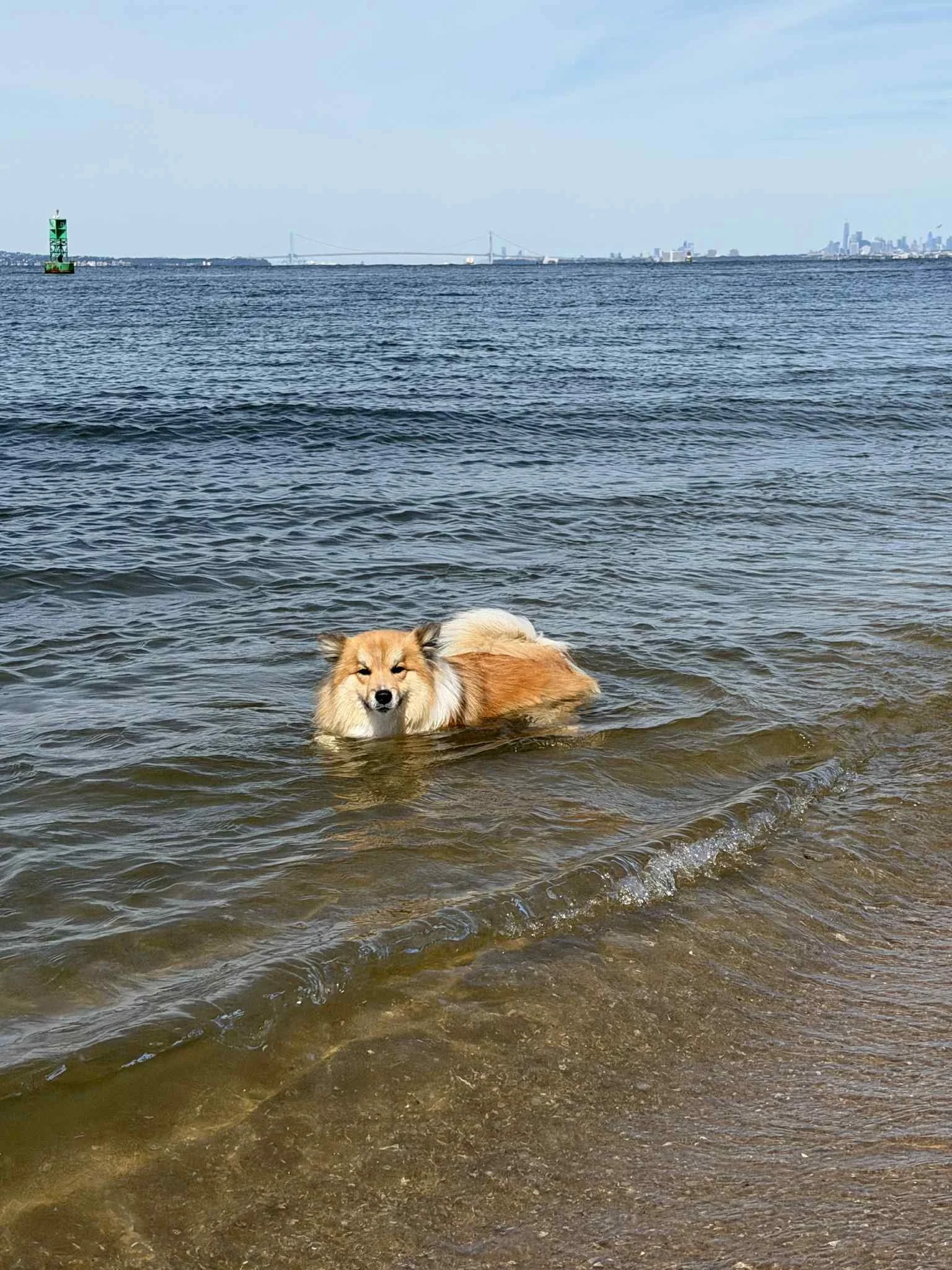 2217f013-1b5a-46fc-bf28-df3ce5612f4e.jfif