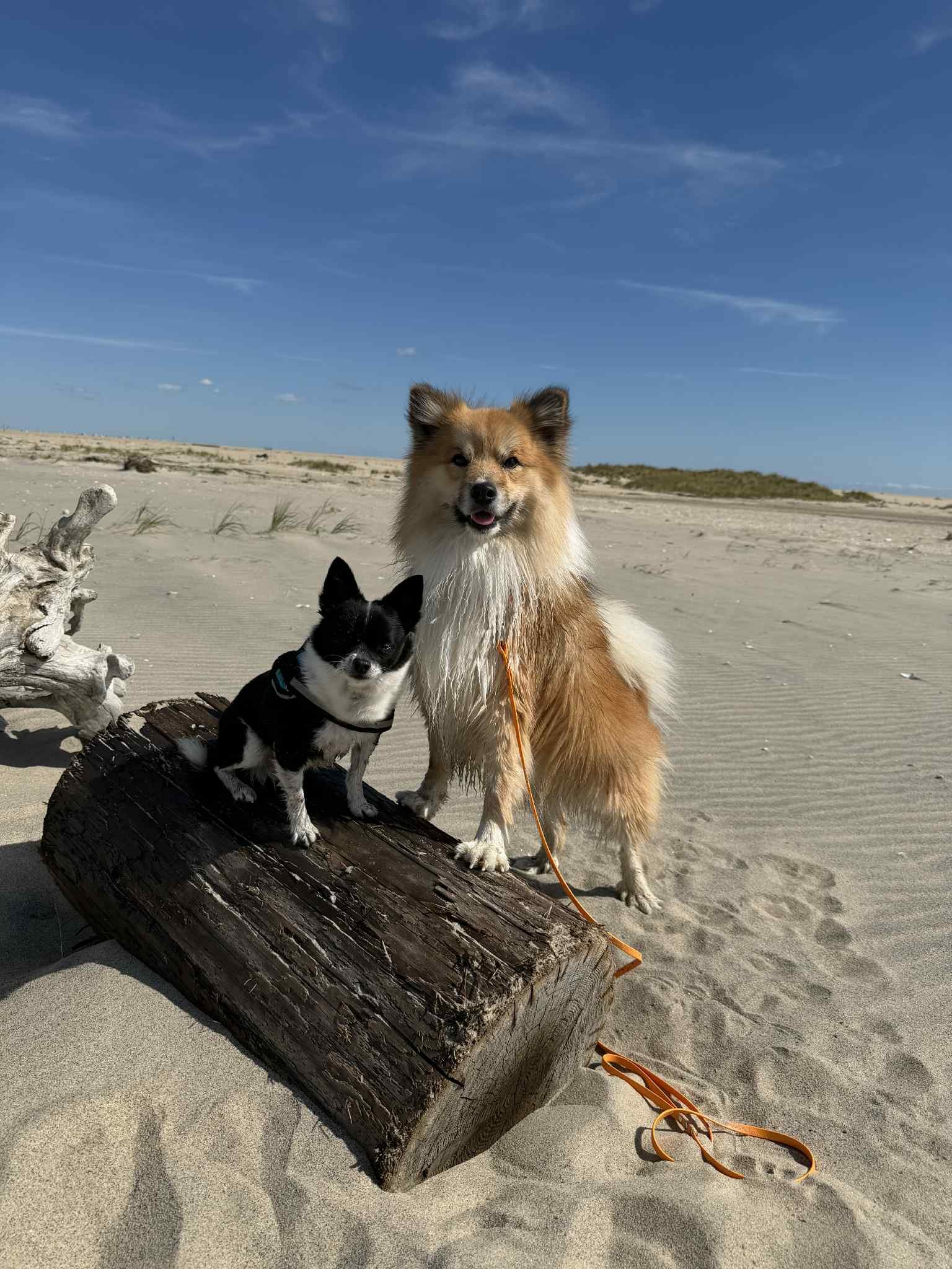 35449263-07dd-435e-aa6e-3ef4825ae431.jfif