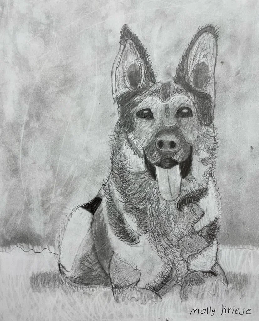 Graphite by a 10 year old
