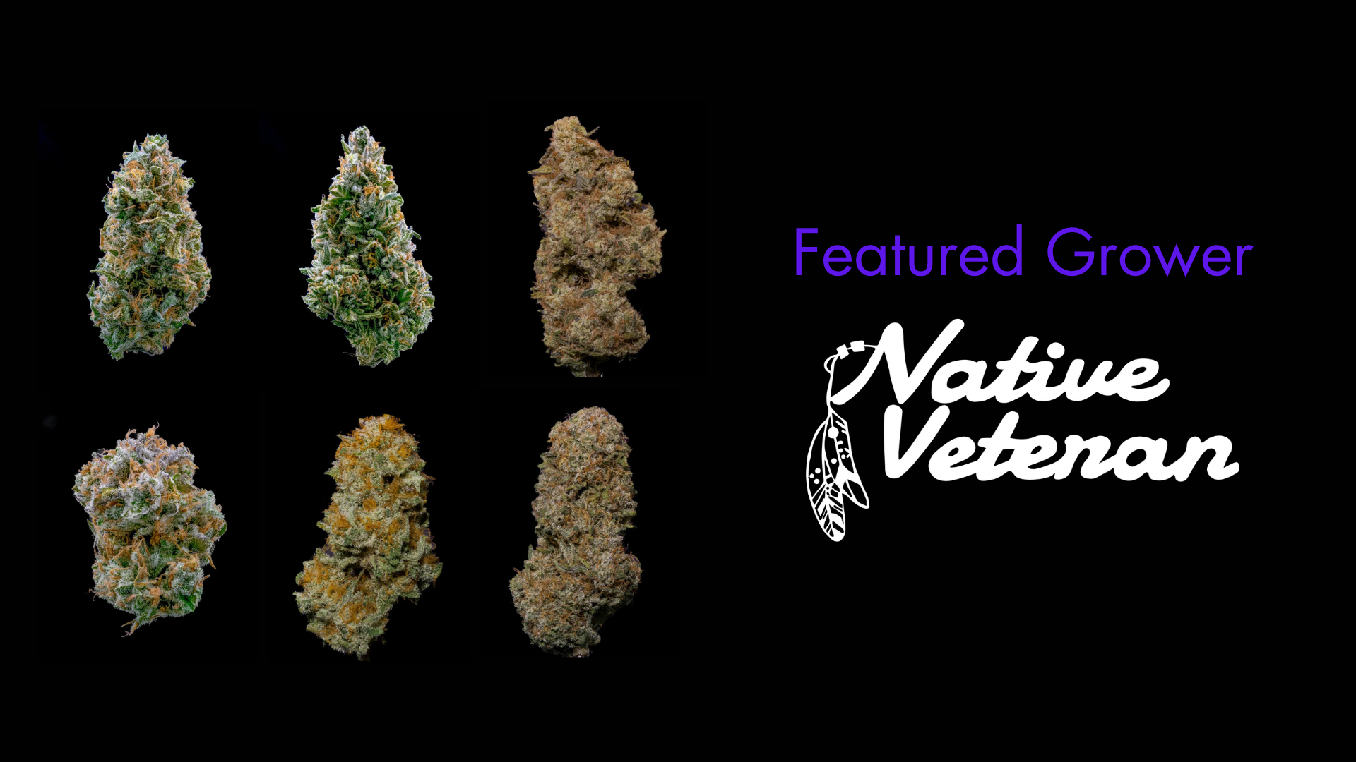 Featured Grower: Native Veteran