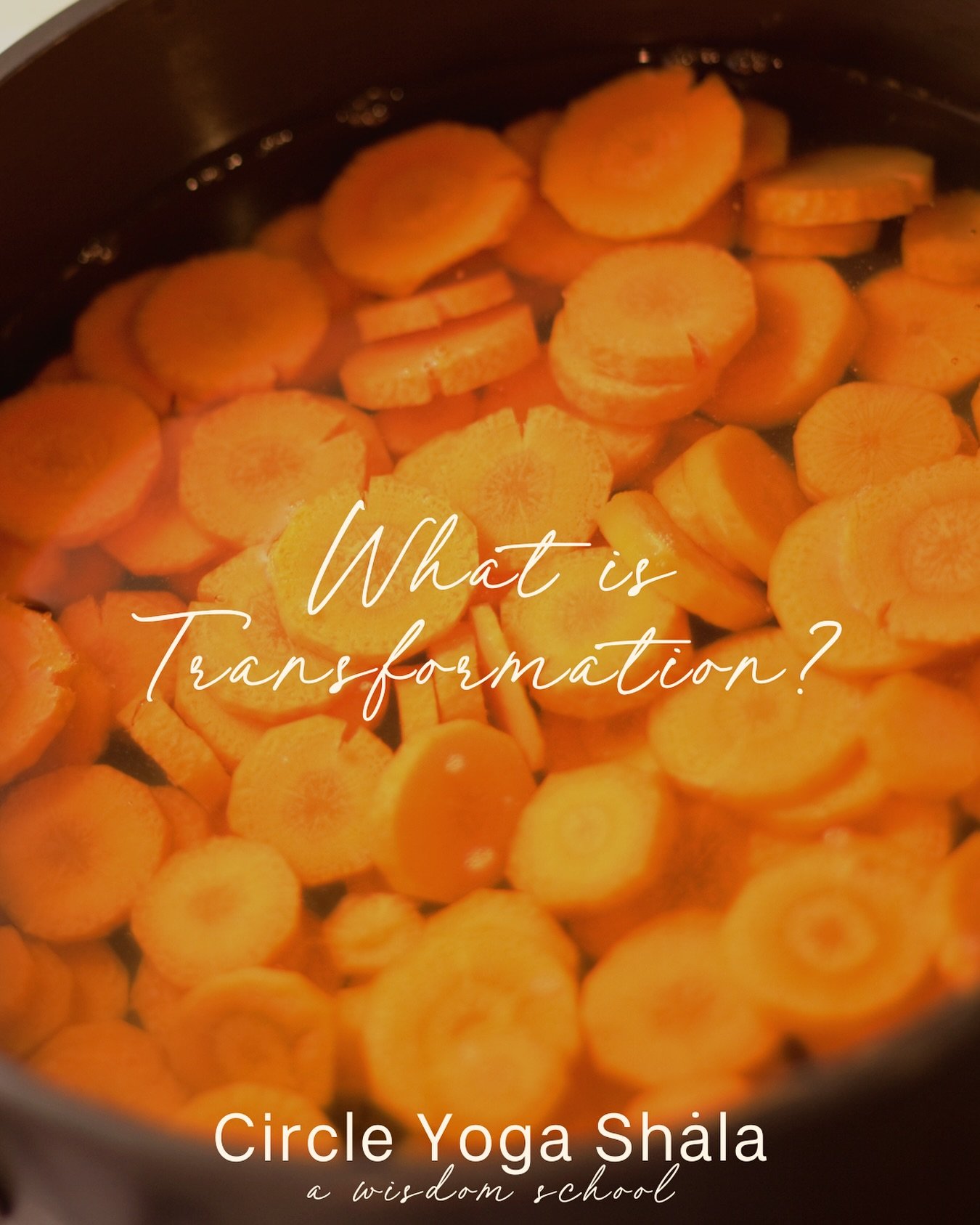 Transformation is like cooking a carrot. 

The carrot remains a carrot, but something about it changes fundamentally, once it&rsquo;s been softened by the heat. 

And this cooking process cannot be reversed.

This is what we mean by transformation. N