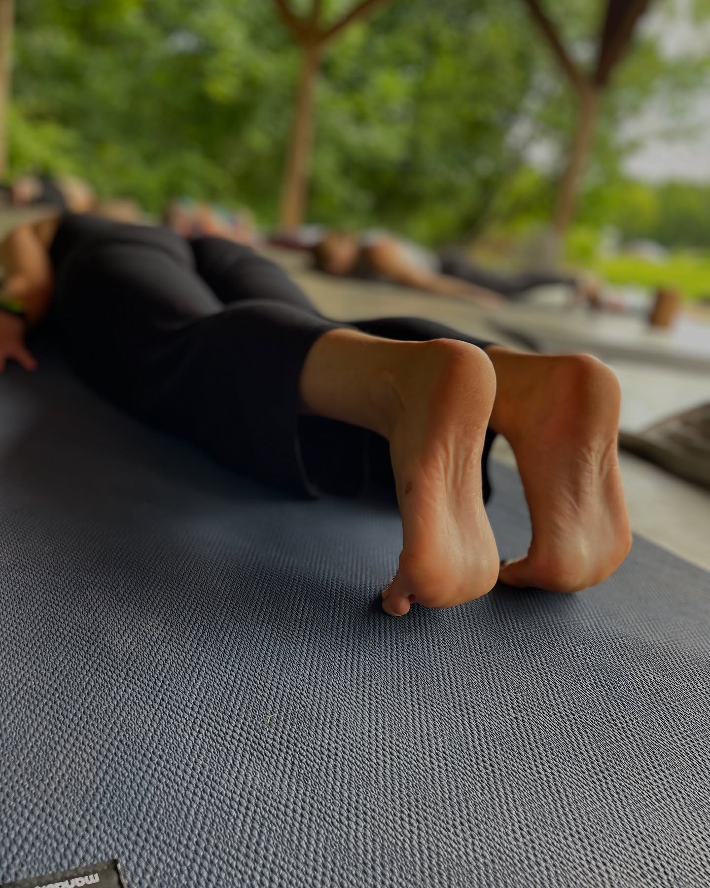 As we move into the weekend, take a moment to pause.

🔹 Feel your feet on the floor. 
🔹 Notice your breath without changing it. 
🔹 Let your shoulders soften.

A few seconds of embodied awareness can reset your whole system.

#CircleYogaShala #Embo