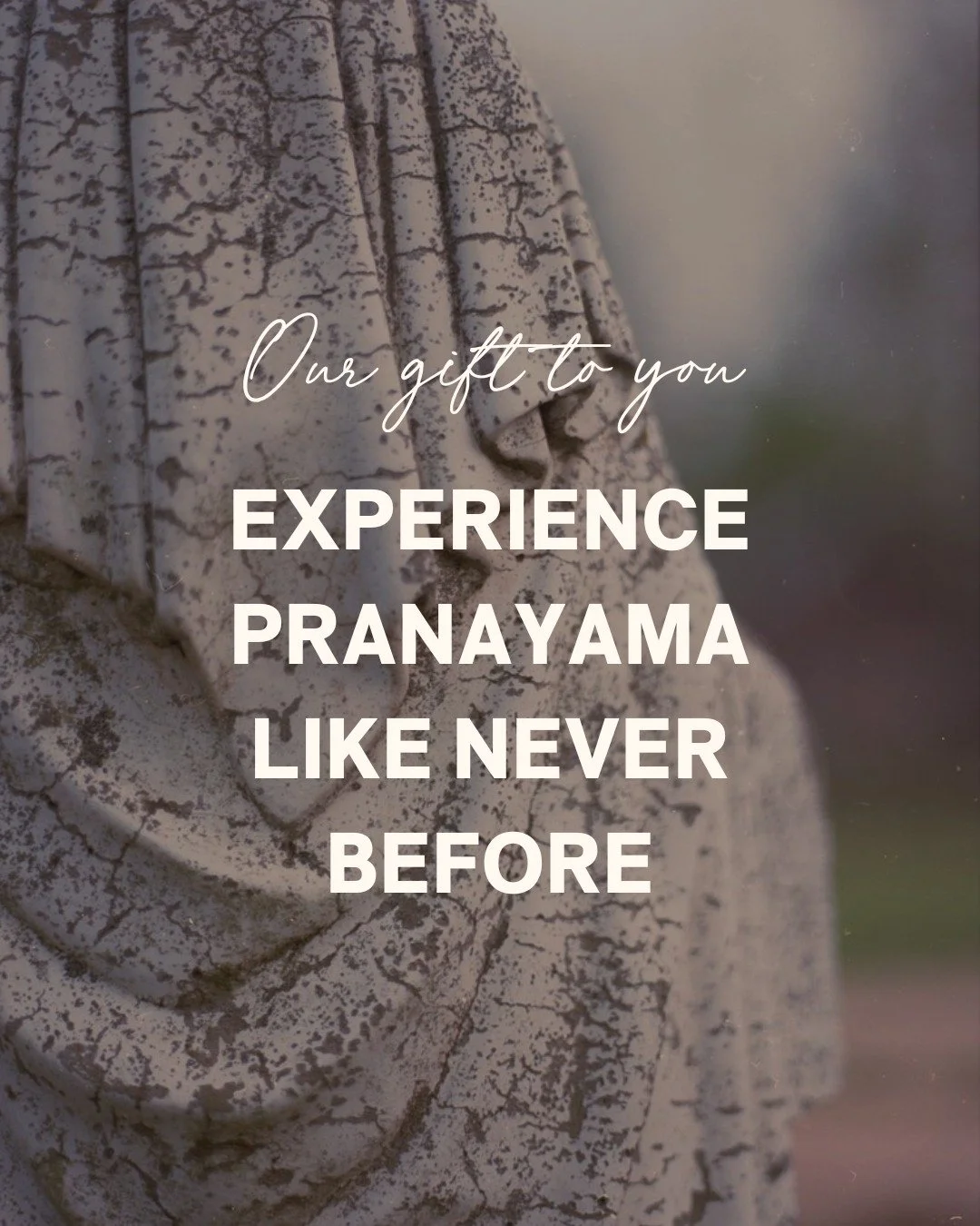 Dive into our Free Pranayama Practice Now!

Experience pranayama like never before with our unique Method&ndash;embody an elegant effort that invites you into a deeper relationship with your breath.

Go to the link in bio to sign up &amp; receive a 1
